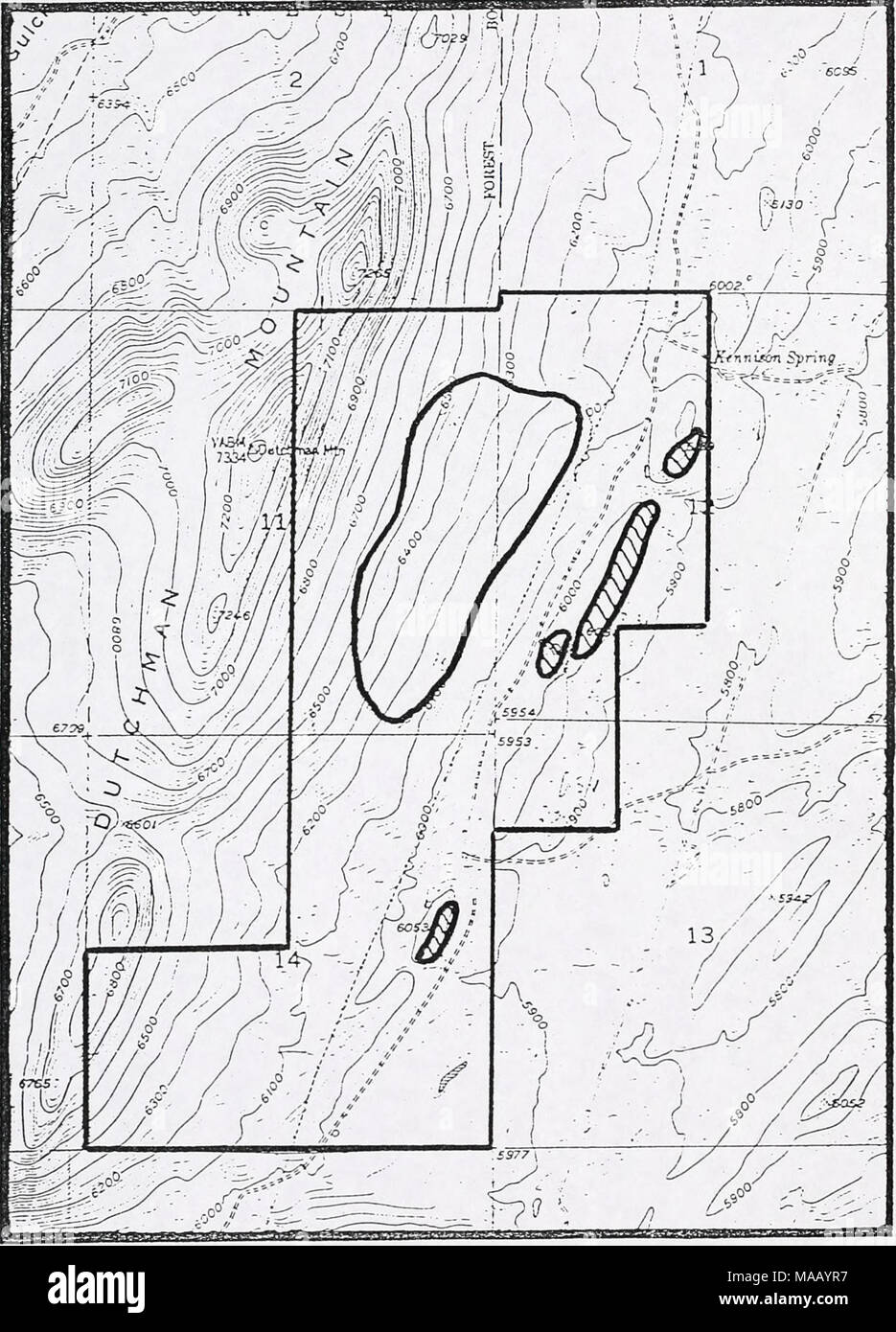 . Survey for sensitive plant species on Dutchman Mountain, Beaverhead County,  . Eriogonum ovalifolium var. nevadense USGS Argenta Quad, 7.5' Stock Photo