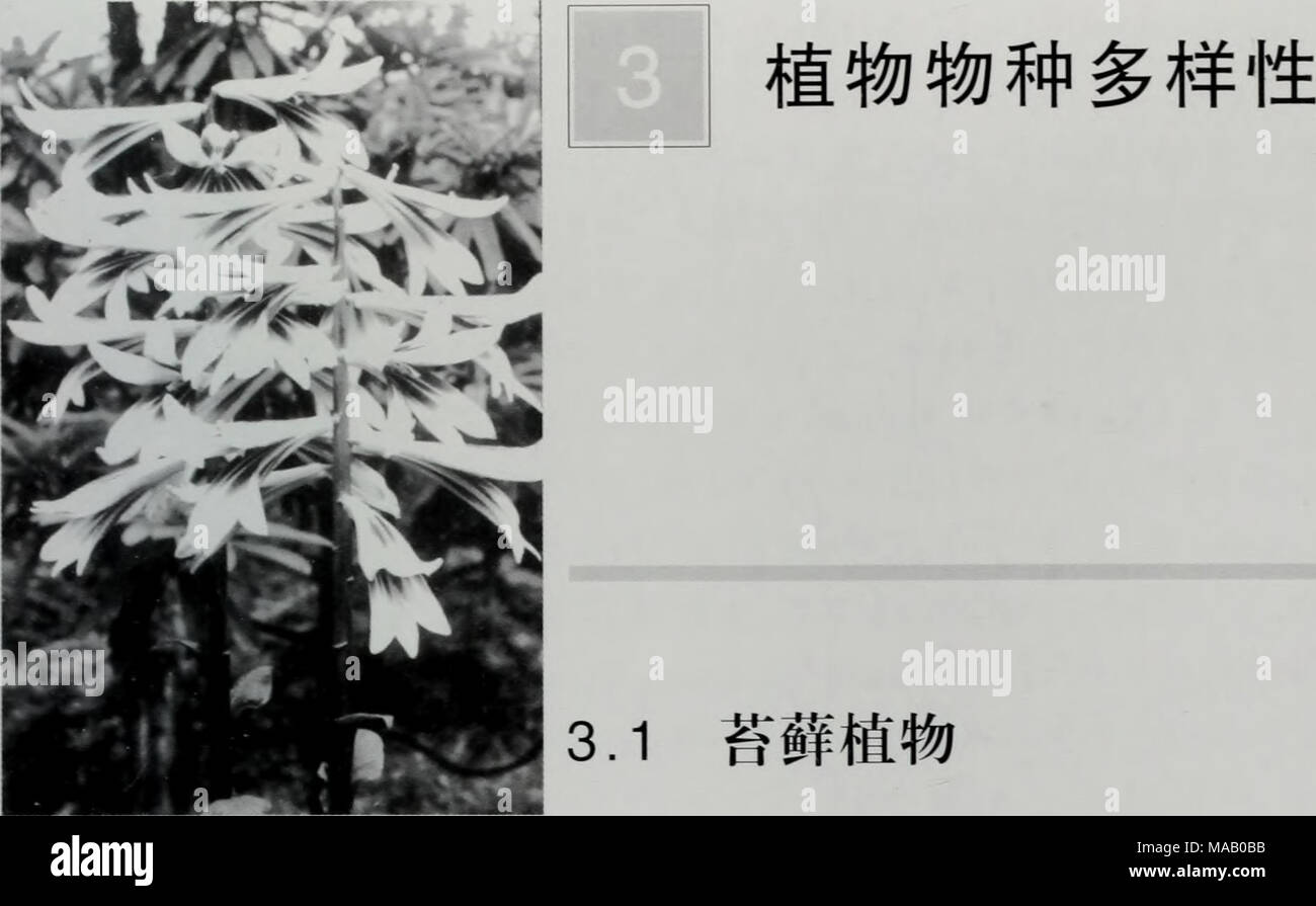 . du jiang yan sheng wu duo yang xing yan jiu yu bao hu . æä»¬å¯¹äºé½æ±å °çç»´ç®¡æ¤ç©å·²è¿è¡è¿è¾å¤çç ç©¶ï¼ä½æ¯è èæ¤ç©çééåç ç©¶ä¸ç´å¤äºéå¸¸èå¼±çç¶æã1993å¹´ä¸-ç§ é¢æ¤ç©ç ç©¶æçå´é¹ç¨åæ±ªæ¥£èï¼é¦æ¬¡å¨æ¬å°åºå¯¹èèæ¤ç©ä½ ç³»ç»å°ééï¼1994å¹´æ±ªæ¥£èåè´¾æ¸åæ¬¡å¨è¯¥å°åºè¿è¡ç³»ç»é éï¼ééèå´ä¸»è¦éä¸-å¨é¾æ± å°åºãä¸¤æ¬¡ééèèæ¤ç©æ æ¬å ± è®¡çº¦1 200å·ãç»åæ-¥ç ç©¶ï¼è¯¥å°åºèèæ¤ç©å ±è®¡54ç§ã107 å±ã144ç§ã2ä¸ªåç§å1ä¸ªäºç§ã 3.1.1çç©å¤æ ·æ§ç¹ç¹ (1)å ·æä¸å®çç-å¸¦ãäºç-å¸¦æå é½æ±å °ä½äº&quot;åè¥¿é¨å±å¸¦&quot;èå´å ï¼å ¶é¨éå æ²ï¼ä½¿å¾è¯¥å° åºæ¹¿åº¦å¾é«ï¼èæ°´åå¯¹äºèèæ¤ç©ççé¿åååéè¦ï¼é¾æ± å° åºç&quot;å¾¡é¾å-&quot;å æä¸ºä¸°å¯çèè Stock Photo