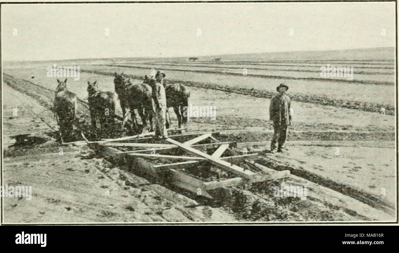 . Dry farming in western Canada . Fig. 83.—Making Borders for Border System of Irrigation. raised so that the areas enclosed, from a fraction of an acre to an acre or more, are all covered with water. This is then drained into the nexl bed Lower down. 188. The &quot;Check&quot; System is a form of bed irrigation and is used quite extensively on hay lands in the Cypress Hills district. The method followed is to dam the stream by building a dyke across the valley. By this method the water, especially during the spring freshets, is cheeked and forced hack over the creek bottoms. The dykes are pla Stock Photo
