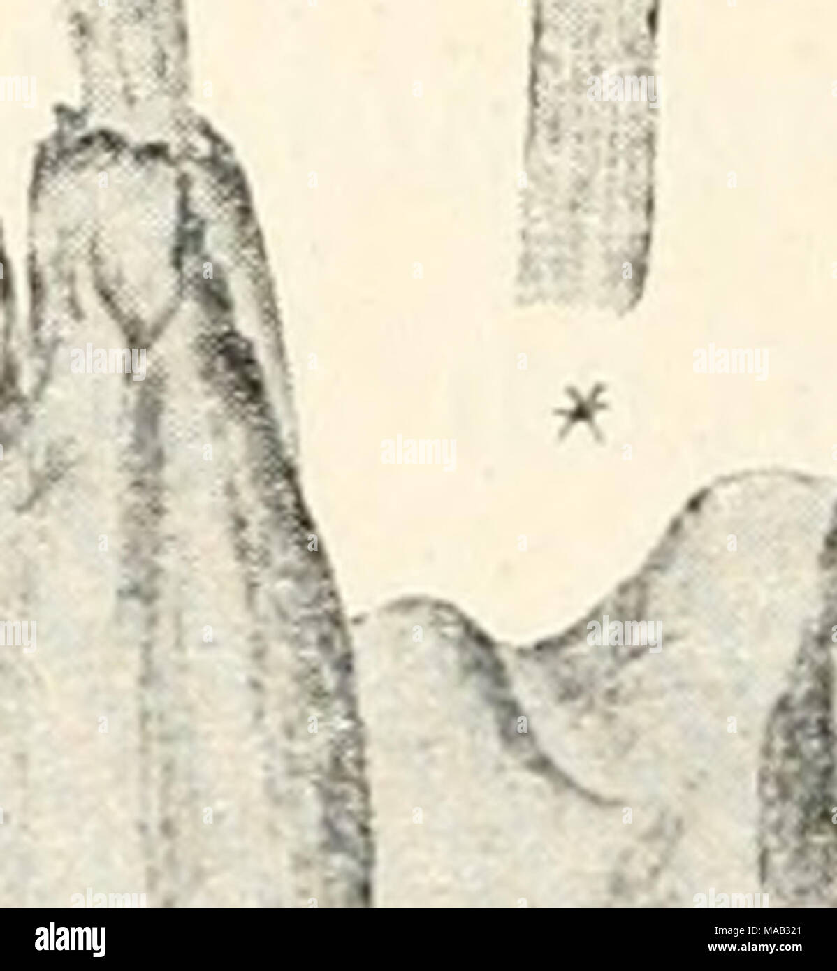 T J Hooker High Resolution Stock Photography And Images Alamy