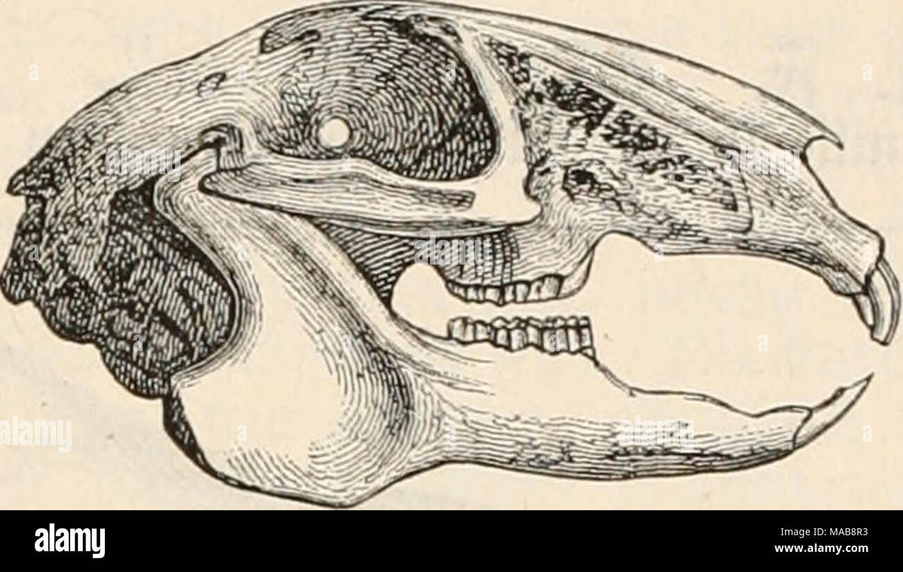 N Ae R O High Resolution Stock Photography And Images Alamy