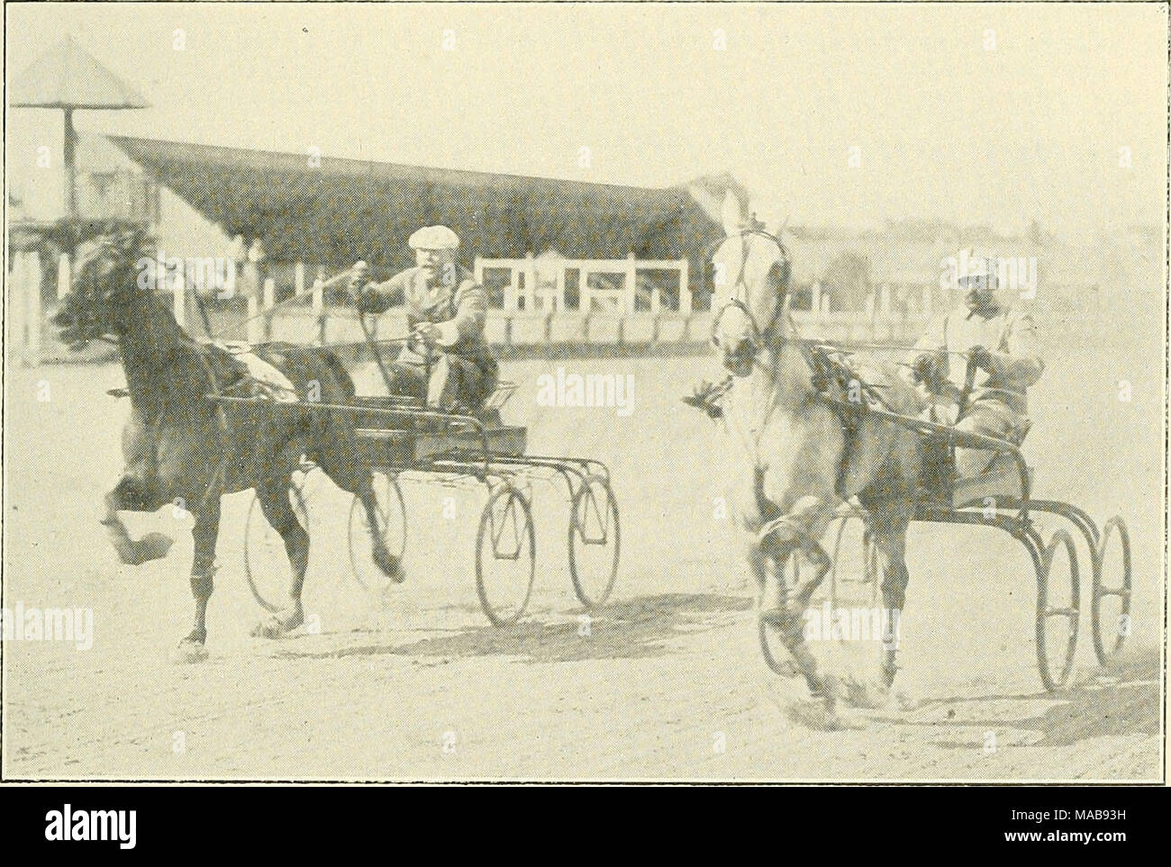  The Driving Clubs Of Greater Boston MISS PRATT 2 17 1 4 BILLIE 