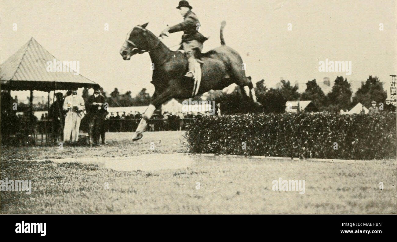 trotteur la grande récré