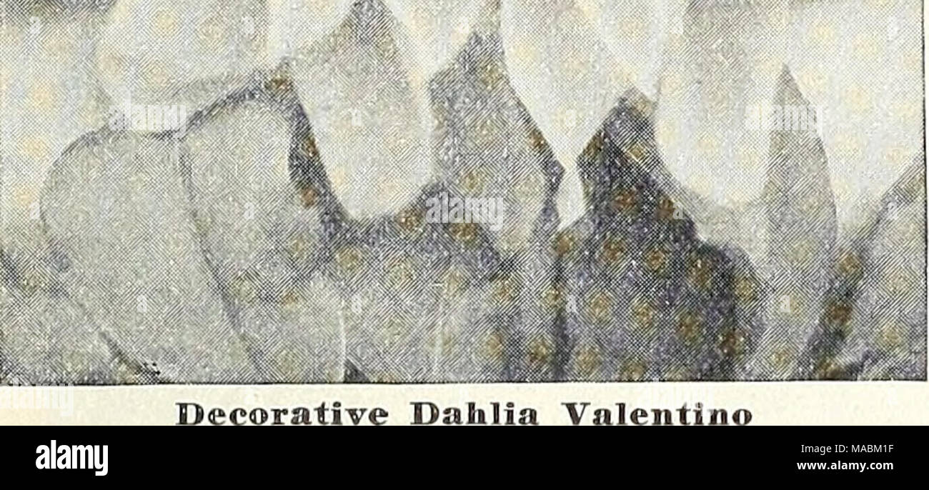 Valentino's price clearance list