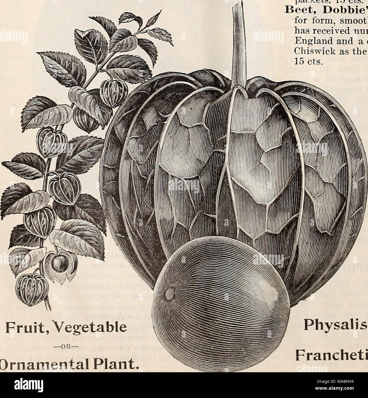 Dreer S Quarterly Wholesale Price List Of Seeds Plants C Winter Edition January 1896 March Fruit Vegetable