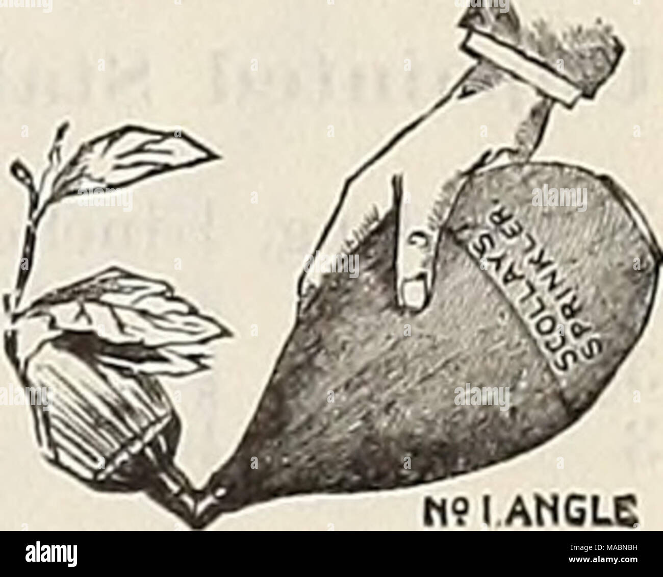 . Dreer's quarterly wholesale price list of bulbs, plants,seeds, &amp;c. : autumn edition, September 1896 December . N9 I ANGLE Angular Sprinkler. 75 cts. each; 85 cts. by mail. 2. 1 3. 1 5. 1 G. 1 No. A. 1 stream and spray rose, 12 x 1 in $1 75 u cl " " " " 14£xl£ " 2 85 " 2 roses, 13ix 1T" 3 40 2 " 18 xl£ " 4 85 2 " 18 xU " 5 50 " 1 rose, 16 xlf " With curved neck to use as a knuckle-joint 3 75 " H 18 in. long, 1* in. diameter 1 85 Zinc Syringes, 90 cts.; Zinc, brass finish, $1.10; Tin, 75 cts. The Boston Hose Nozzle. Thi Stock Photo