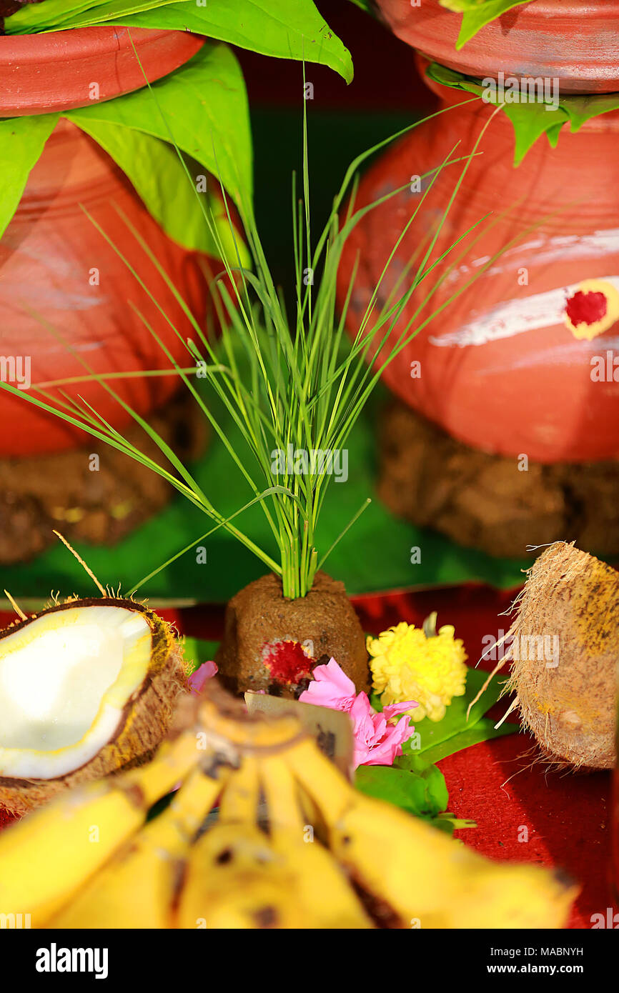indian wedding ritual, coconut, banana Stock Photo Alamy