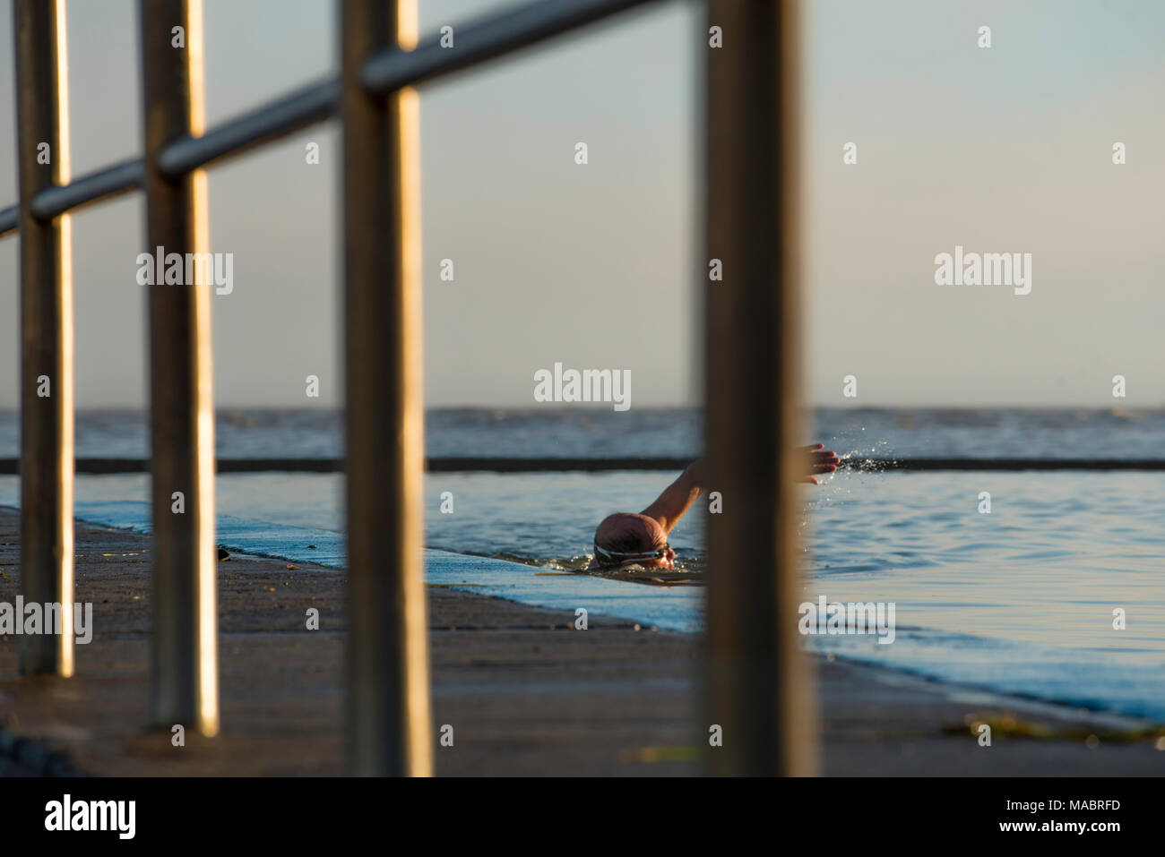 A man is swimming in a large ocean pool just on dawn at Forster on the mid north coast of New South Wales, Australia. Shot through a hand rail. Stock Photo
