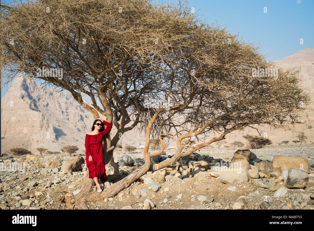 Beautiful girl in red dress bellow a tree in the desert Stock Photo - Alamy