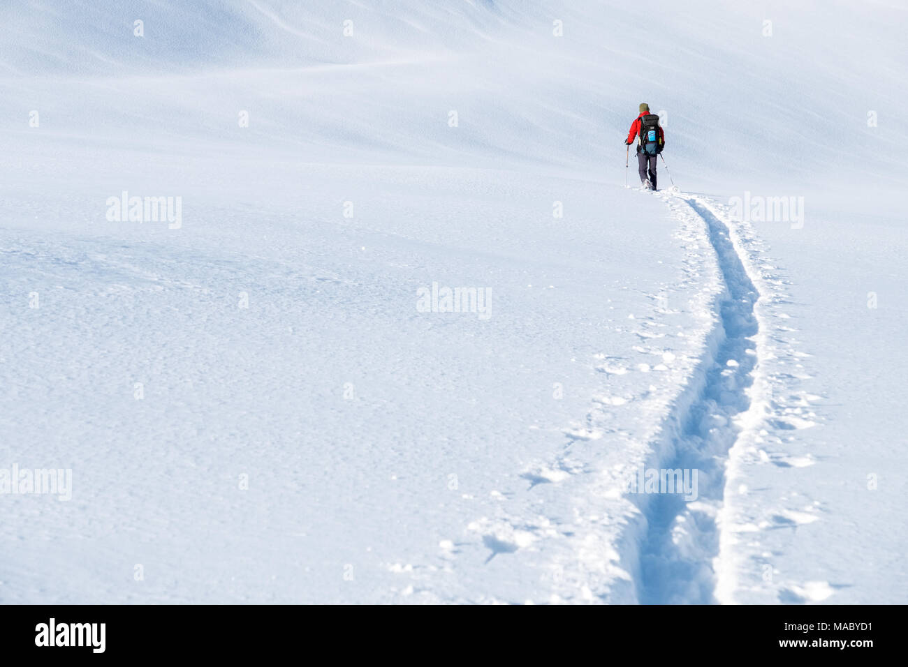Lone skier / ski tourer breaking trail in deep snow Stock Photo Alamy