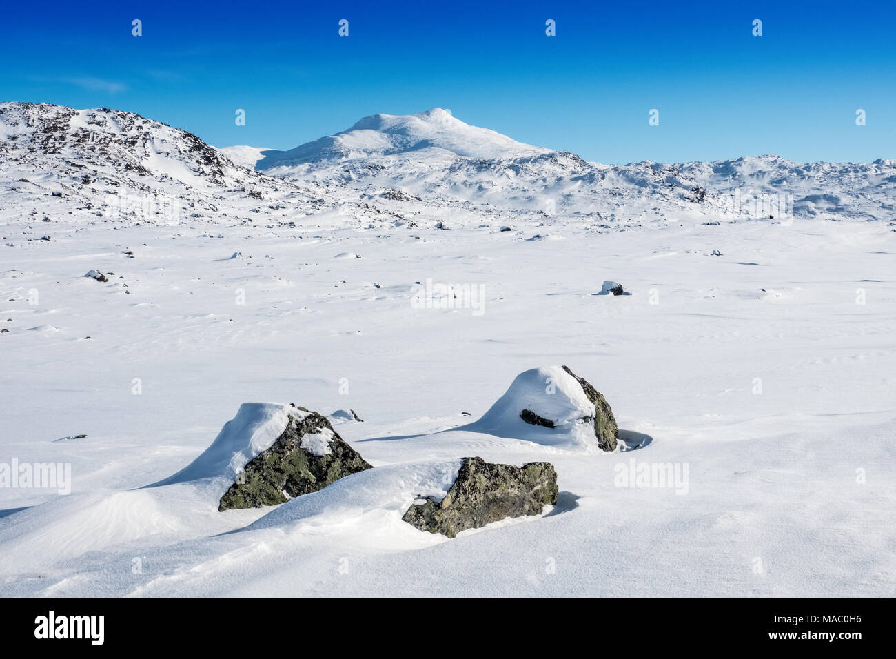 winter landscape in northern