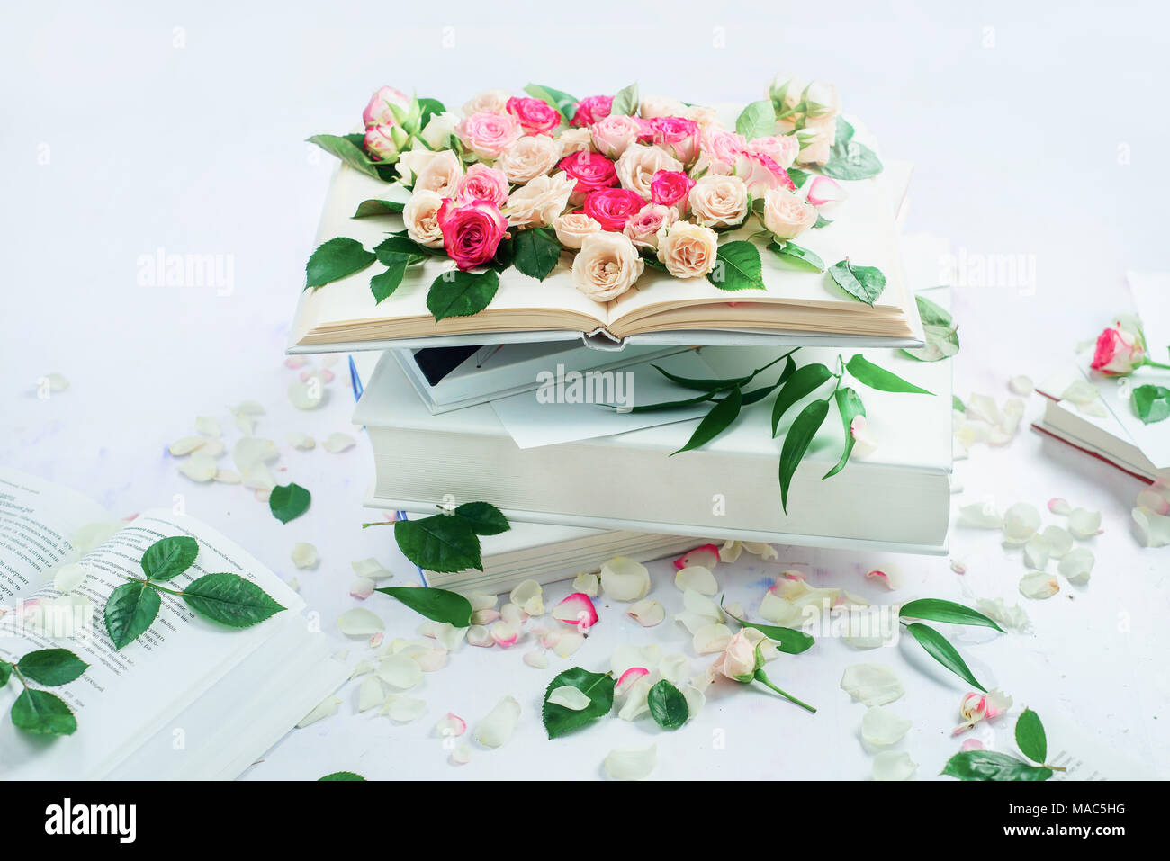 Header with a stack of white books with flowers and petals. Spring reading concept. Feminine still life in high key with copy space. Stock Photo