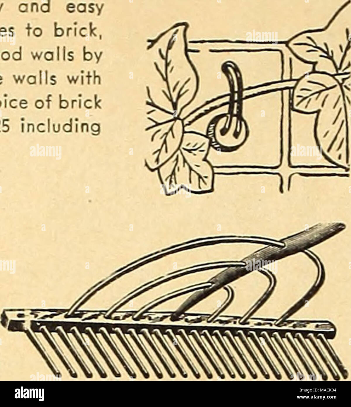 . Dreer's wholesale catalog for market gardeners truck growers florists landscape architects 1945 : Dreers quality seeds bulbs . Rugg Wood Rake Disston Hand Pruning Saw Saws. Disston Hand Pruning. No. 31. 20-in. $2.00, postpoid. Pacific Coast Type Saw Pacific Coast Type Saw. #15 $2.25, postpaid. Pruning Saw, California Pattern #166. A popular type with taper- ground, curved, steel blade and 8 point teeth cutting on the draw stroke. $1.95, postpaid. Stock Photo