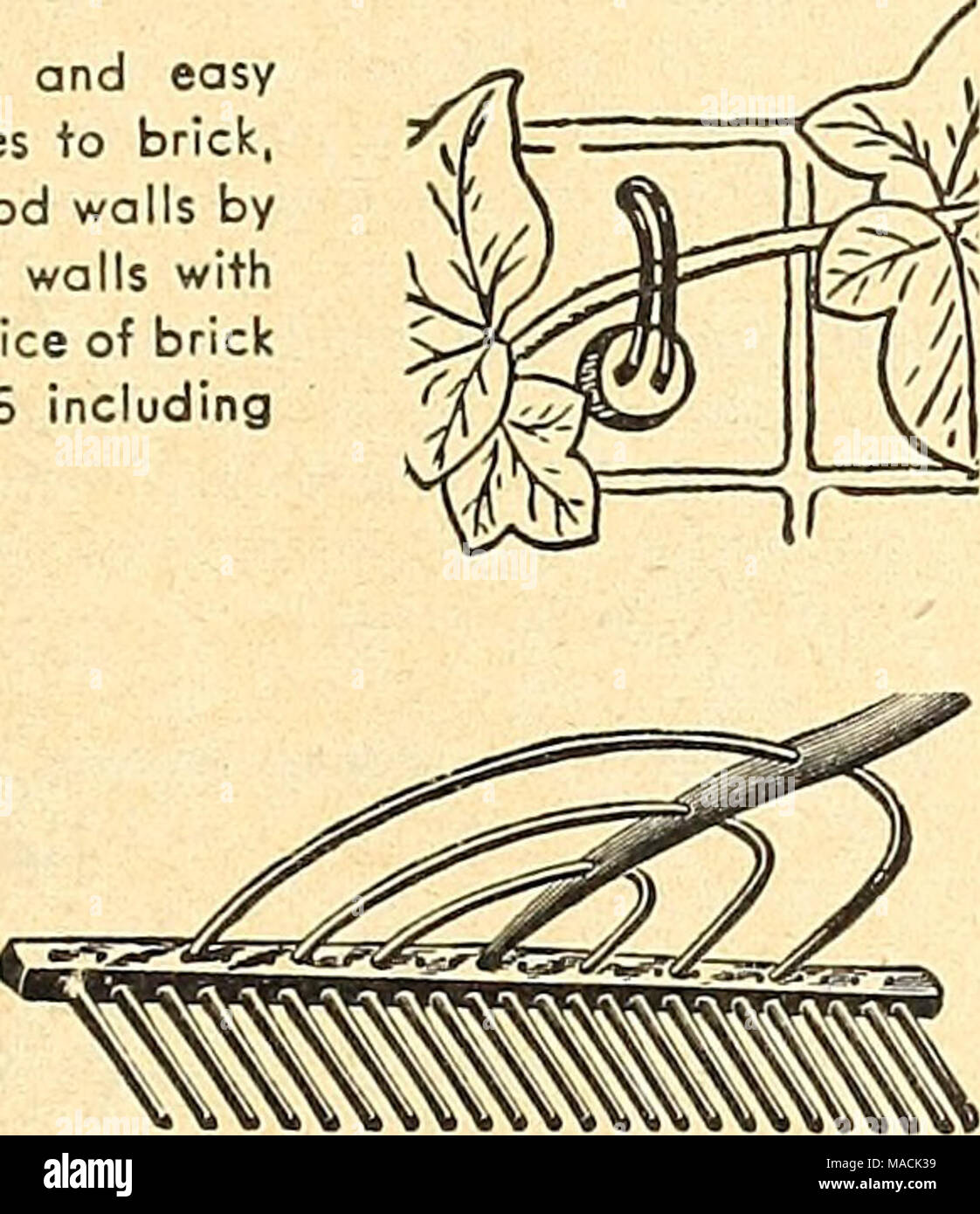 . Dreer's wholesale catalog for market gardeners and florists : 1944 winter - spring - summer . Rugg Wood Rake Disston Hand Pruning Saw Saws. Disston Hand Pruning. No. 7. 20-in. $2.00, postpaid. Pacific Coast Type Saw. #15 $2.25 postpaid. Pacific Coast Type Saw Pruning Saw, California Pattern #166. A popular type with taper- ground, cuived, steel blade and 8 point teeth cutting on the draw stroke. $1.95, postpaid. Stock Photo