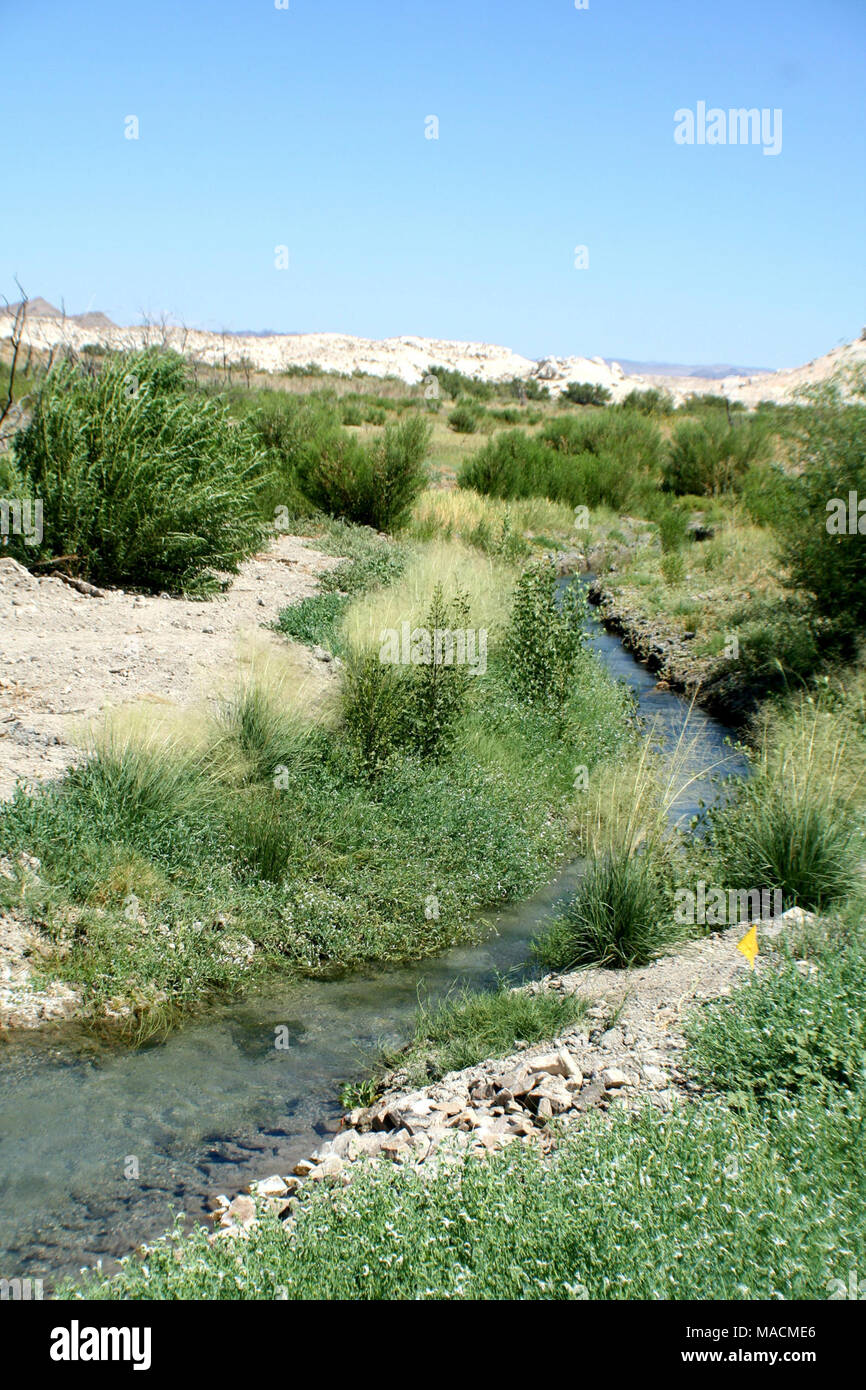 Spring Outflow Restoration At Ash Meadows Nwr 1 8 04 10 Stock Photo Alamy