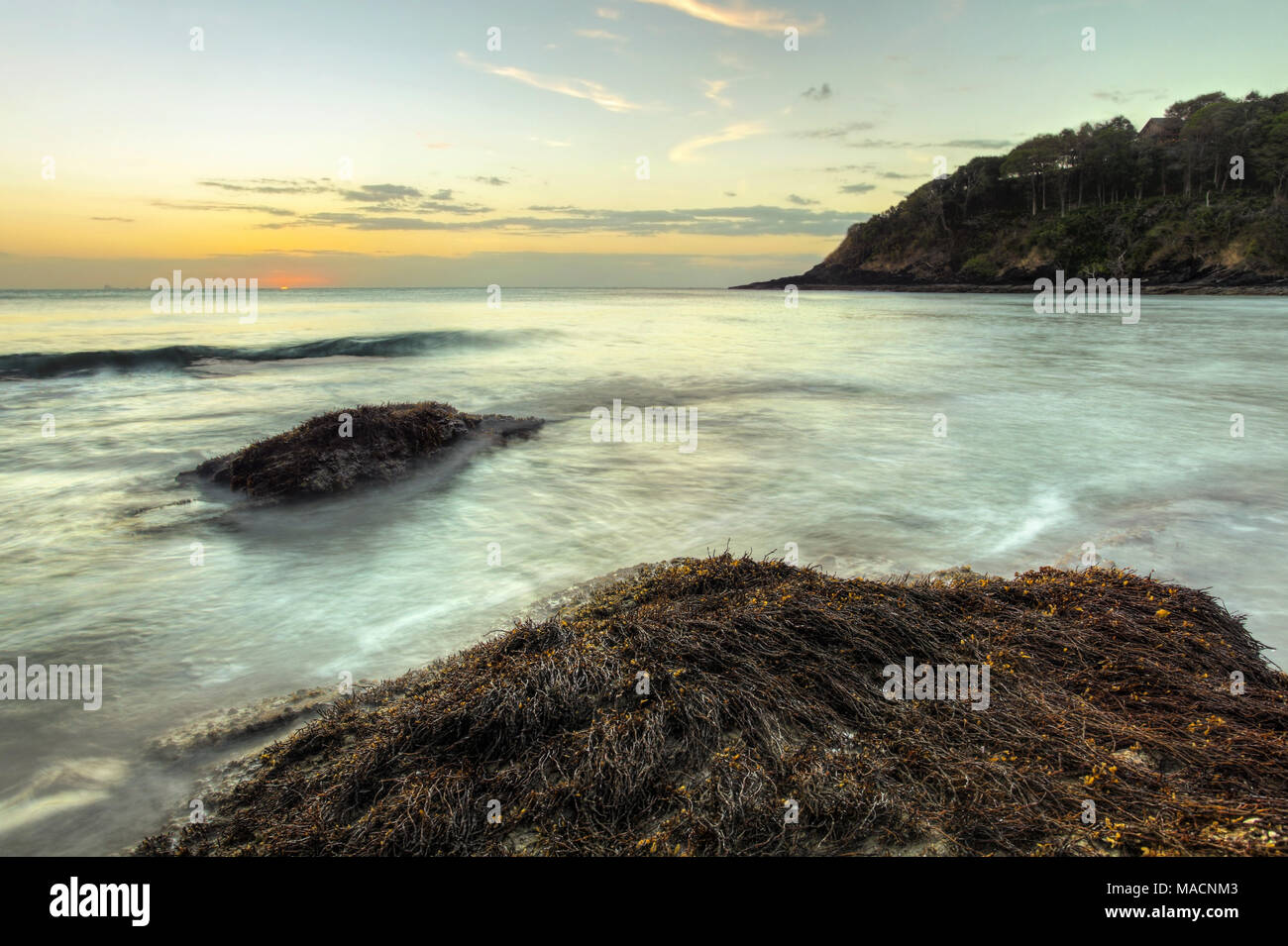 Ocean waves washing the rocks covered with algae and sea weed in sunset light. Koh Lanta, Thailand Stock Photo