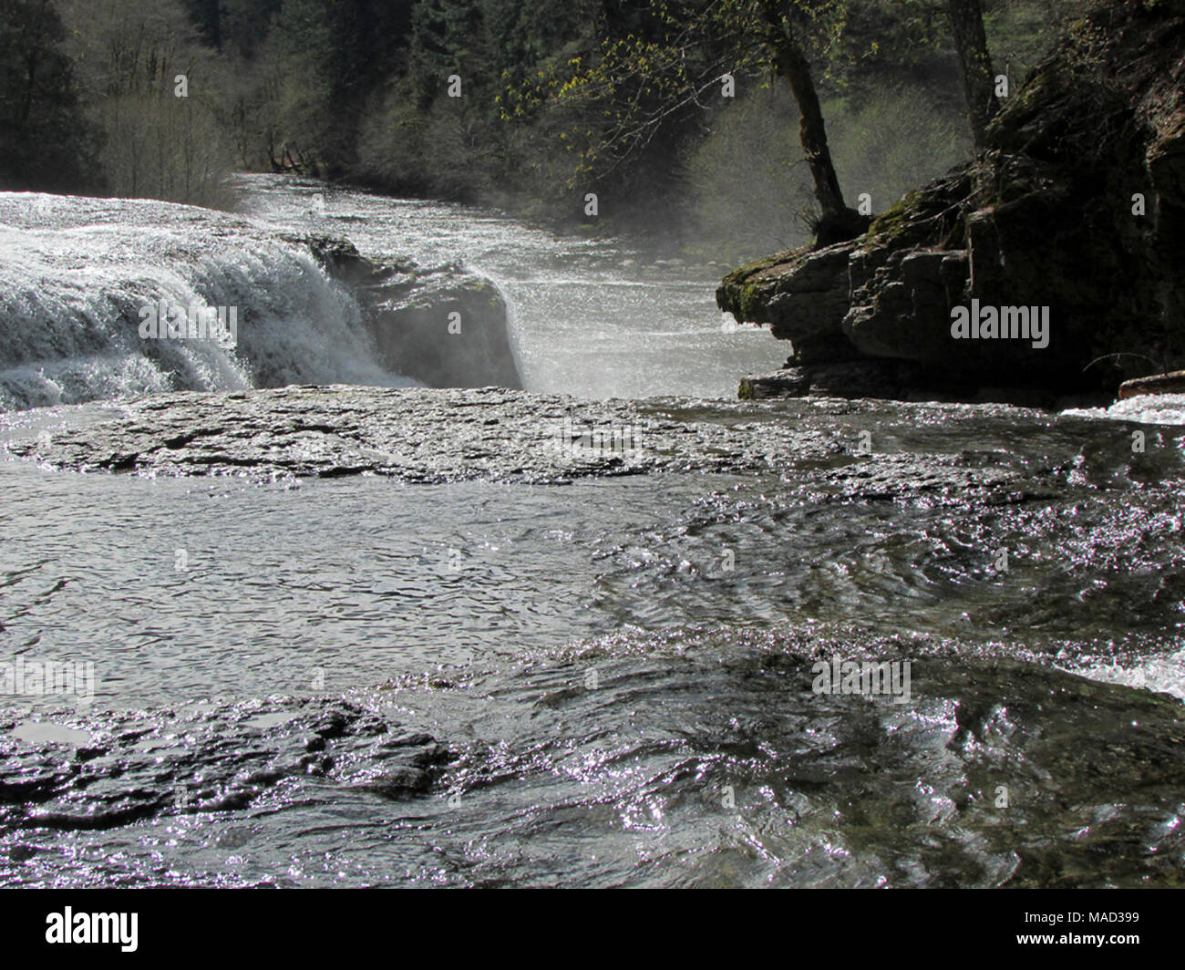 Lower Lewis River Falls in WA Stock Photo - Alamy