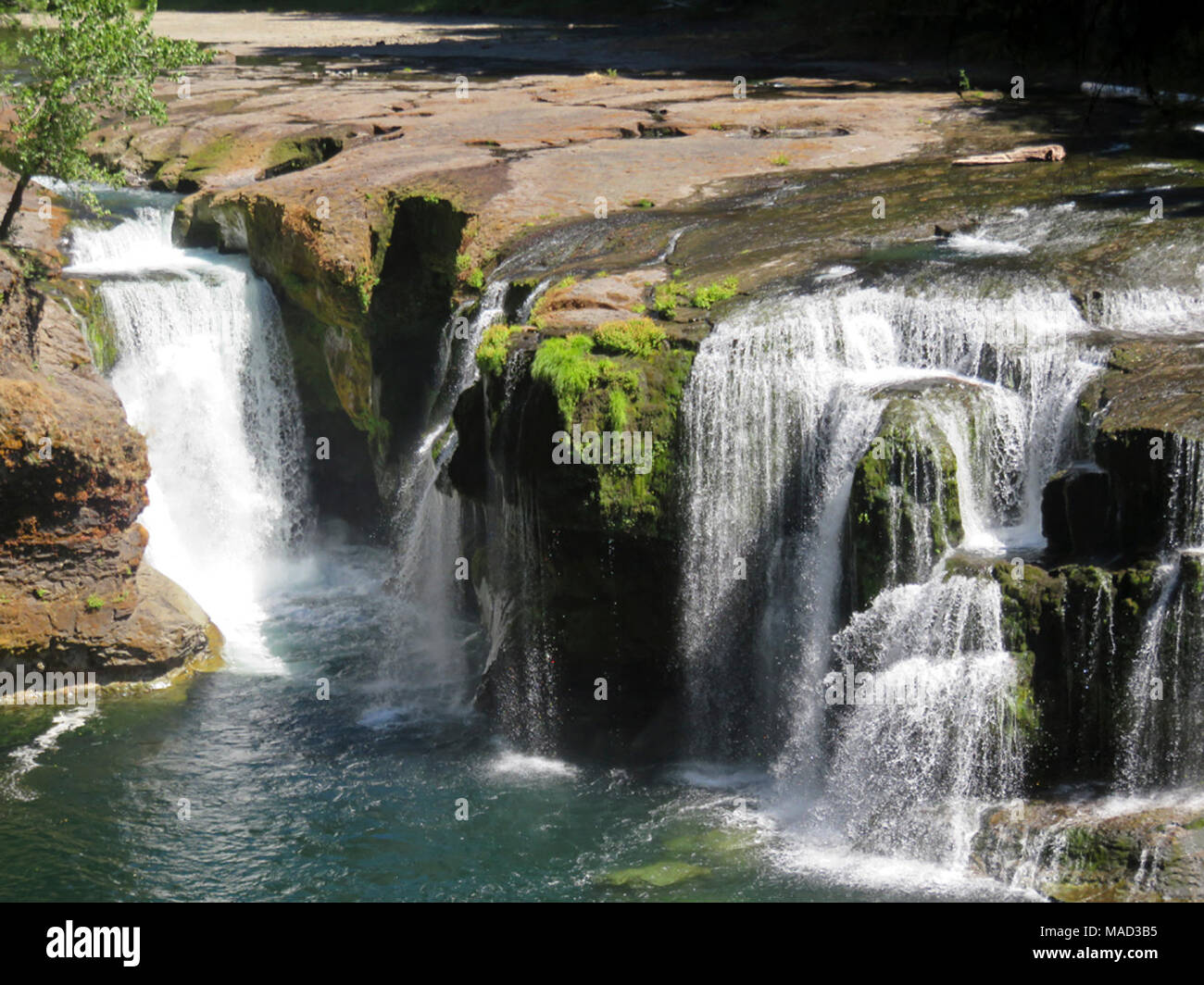 Lower Lewis River Falls in WA Stock Photo - Alamy