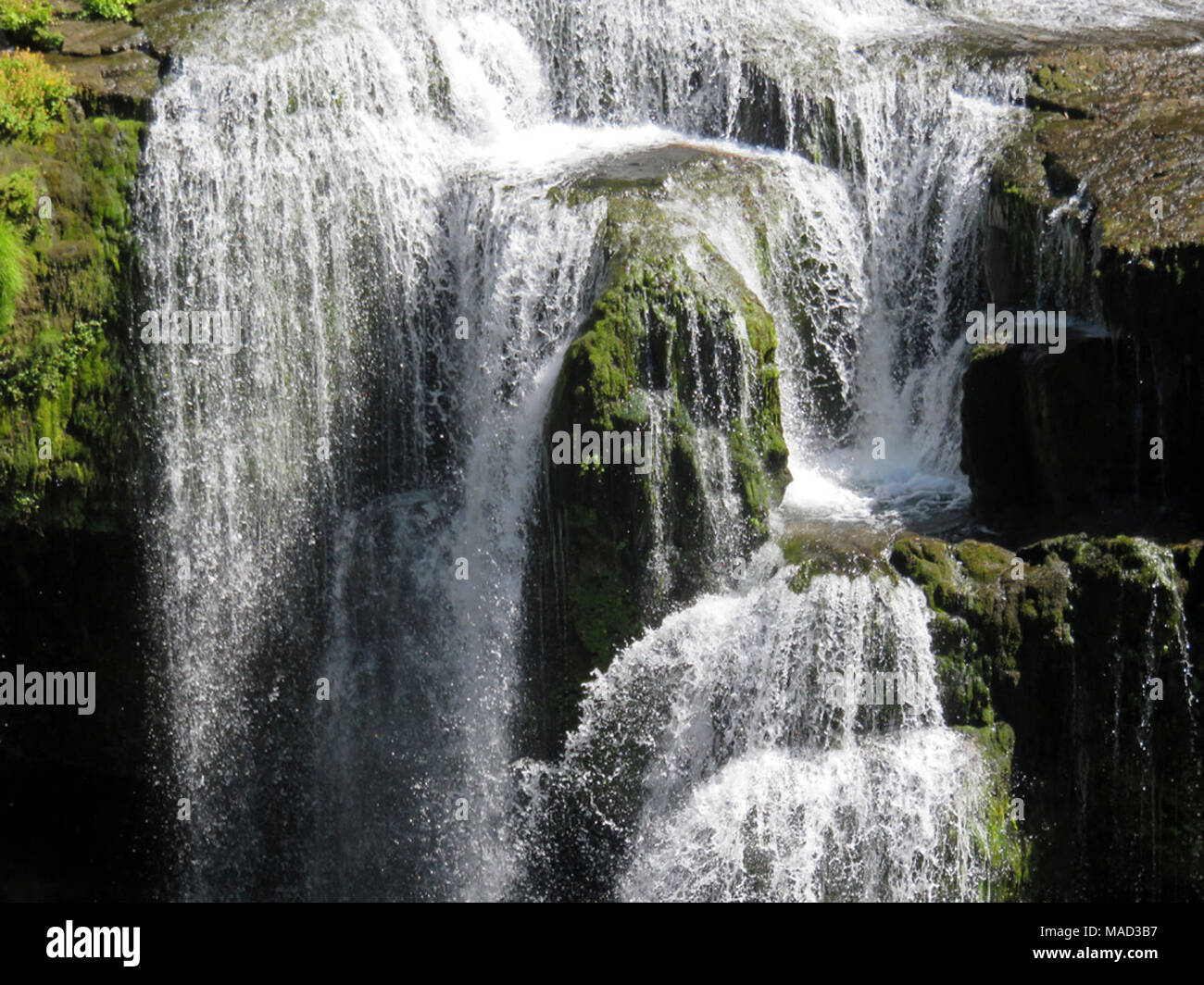Lower Lewis River Falls in WA Stock Photo - Alamy