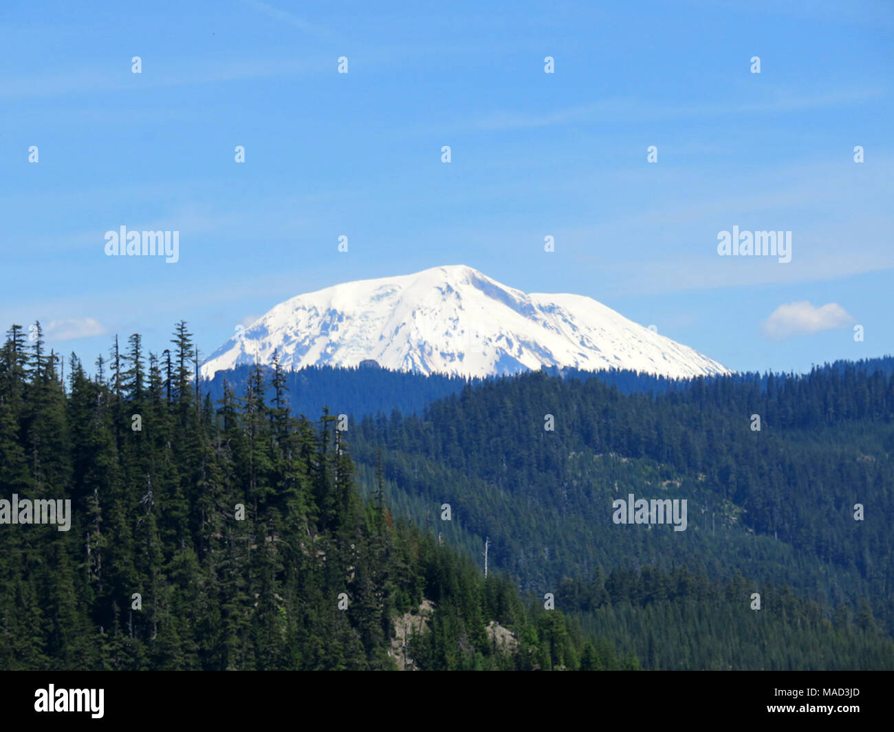 Mt Adams in WA Stock Photo - Alamy