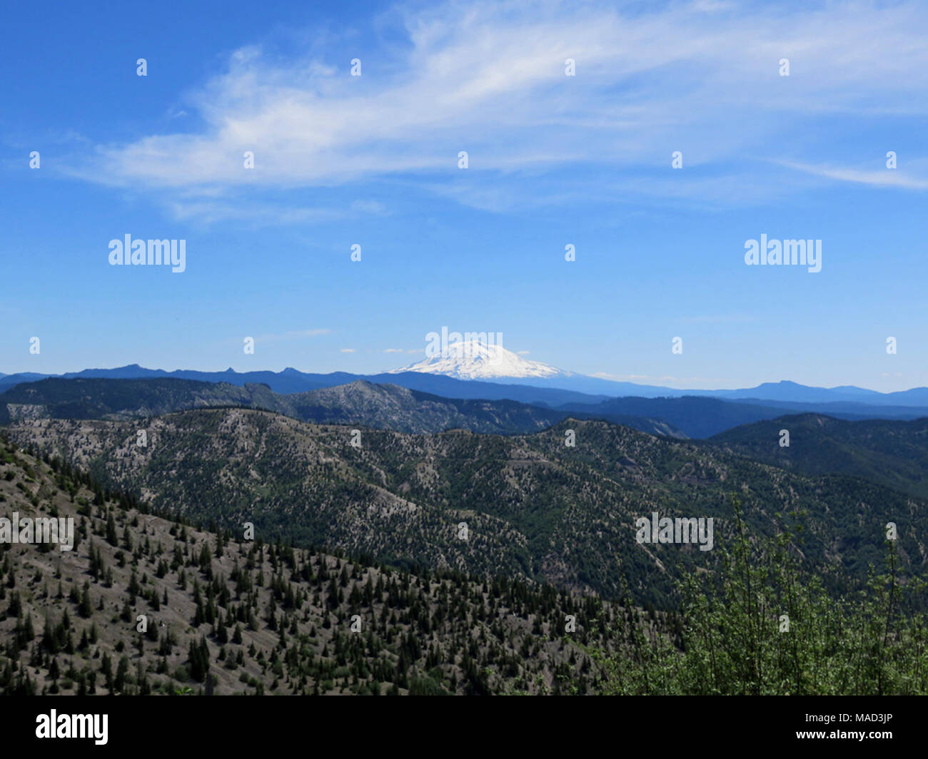 Mt Adams in WA Stock Photo - Alamy