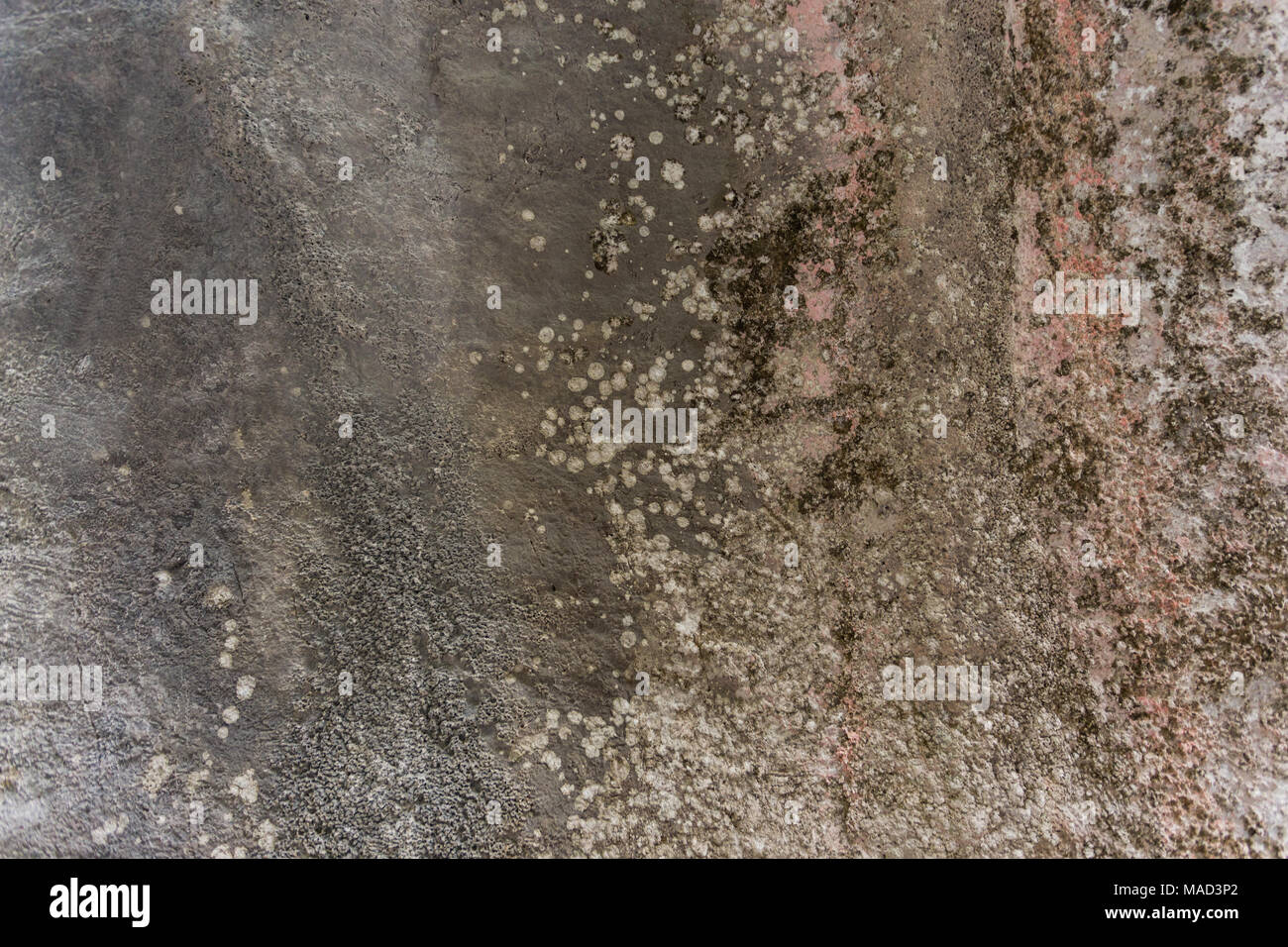 Gray stone wall texture with rough surface Stock Photo - Alamy