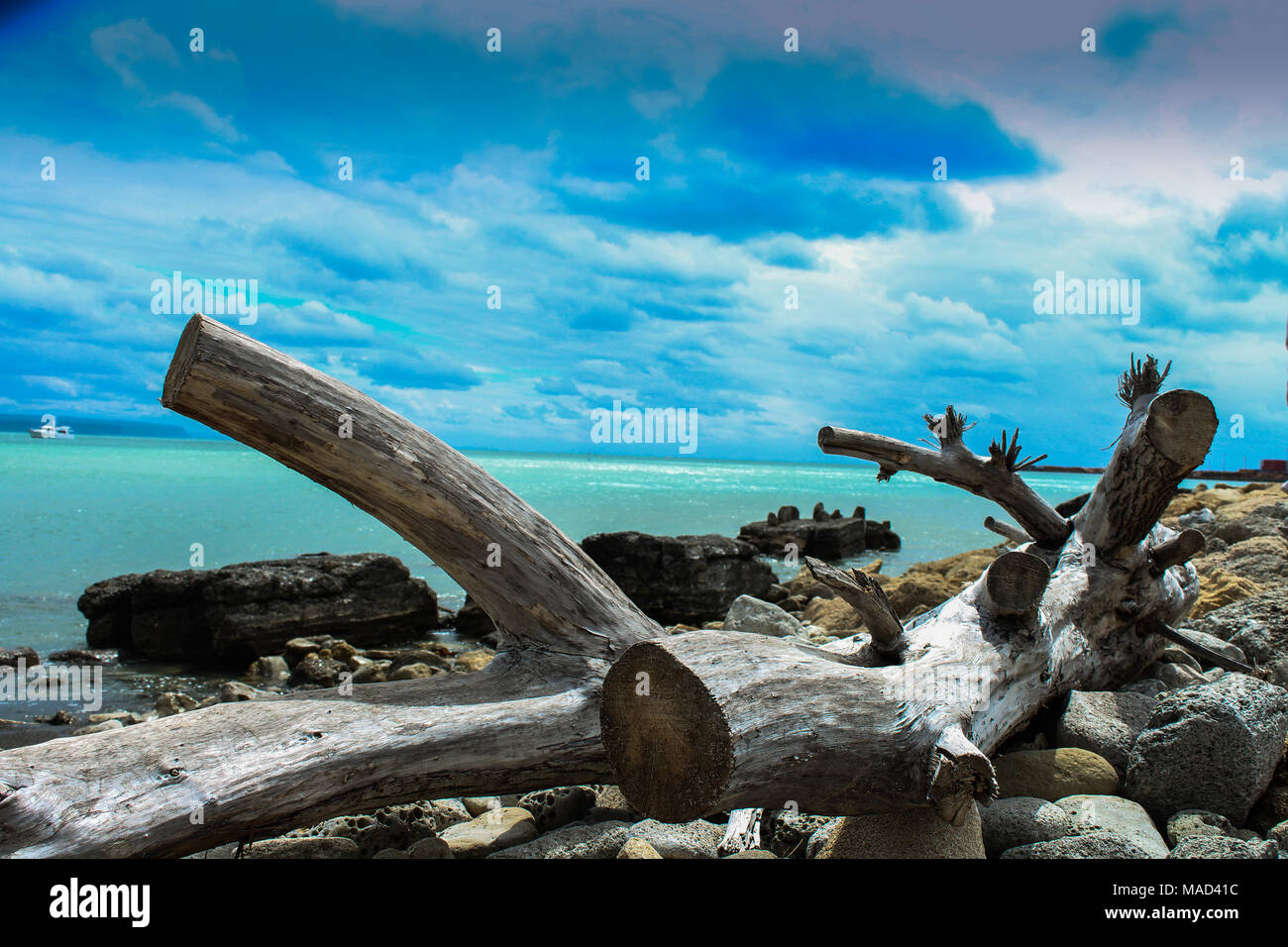 A log resting near a beach with the beautiful clouds above it on an overcast day. The contrast between the darker and lighter shades creates drama. Stock Photo
