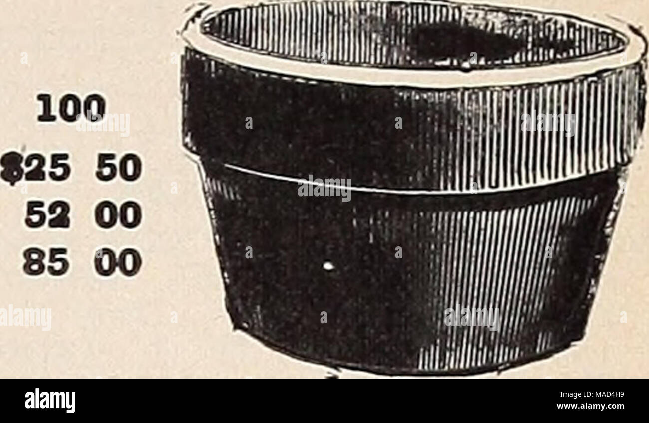 . Dreer's wholesale catalog for florists and market gardeners : autumn 1940 edition . Bulb or Lily Pan Full Inside measurement. No charge for barrels or packing. dozen rates; 60 at 100 rates; 500 at 1000 rates. Zs. 1 1% 1% 2 2% 2% 3 3% 4 Doe. .$0 15 15 15 15 20 25 30 35 40 100 91 00 1000 97 55 7 55 7 55 7 55 8 05 9 45 12 30 15 15 18 90 Xn. Dos. 4% 90 50 5 6 7 8 9 10 12 14 65 95 . 1 65 . 2 35 . 3 50 . 5 00 . 9 50 .13 50 100 93 25 4 35 6 50 10 80 15 60 18 90 25 50 52 00 85 00 Six at 1000 925 50 34 00 51 00 85 00 122 85 Standard Azalea Pots Dlam. Depth 5 in. 4^ in. 6 &quot; 5 7 &quot; 6 8 &quot;  Stock Photo