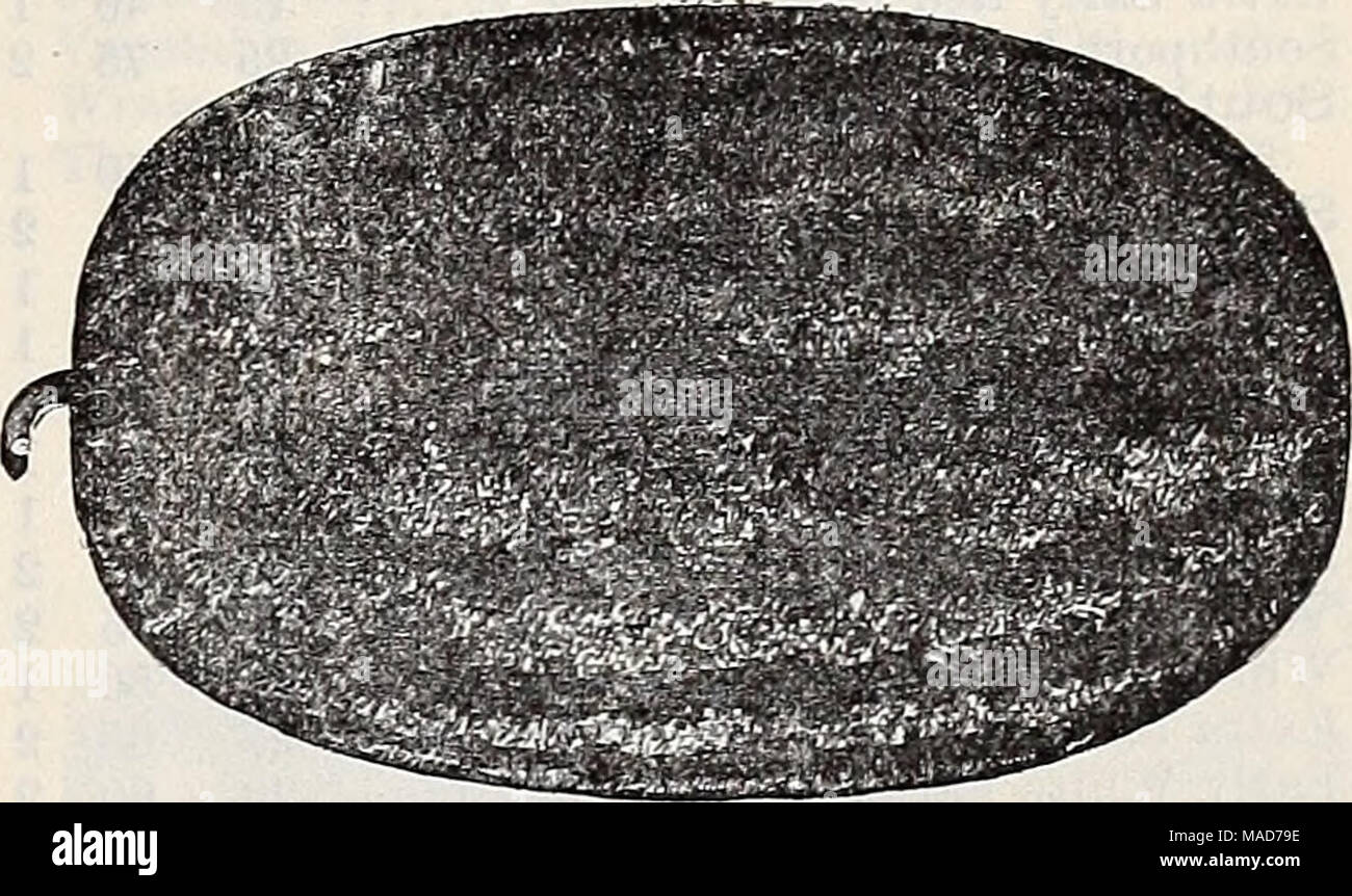 Page 2 Nabob High Resolution Stock Photography And Images Alamy