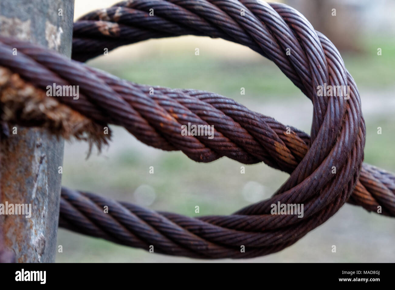 Thick steel rope close up. Bridge fence element. Detailed view. The surface of the steel cable is covered with rust and moss. Autumn day. Stock Photo