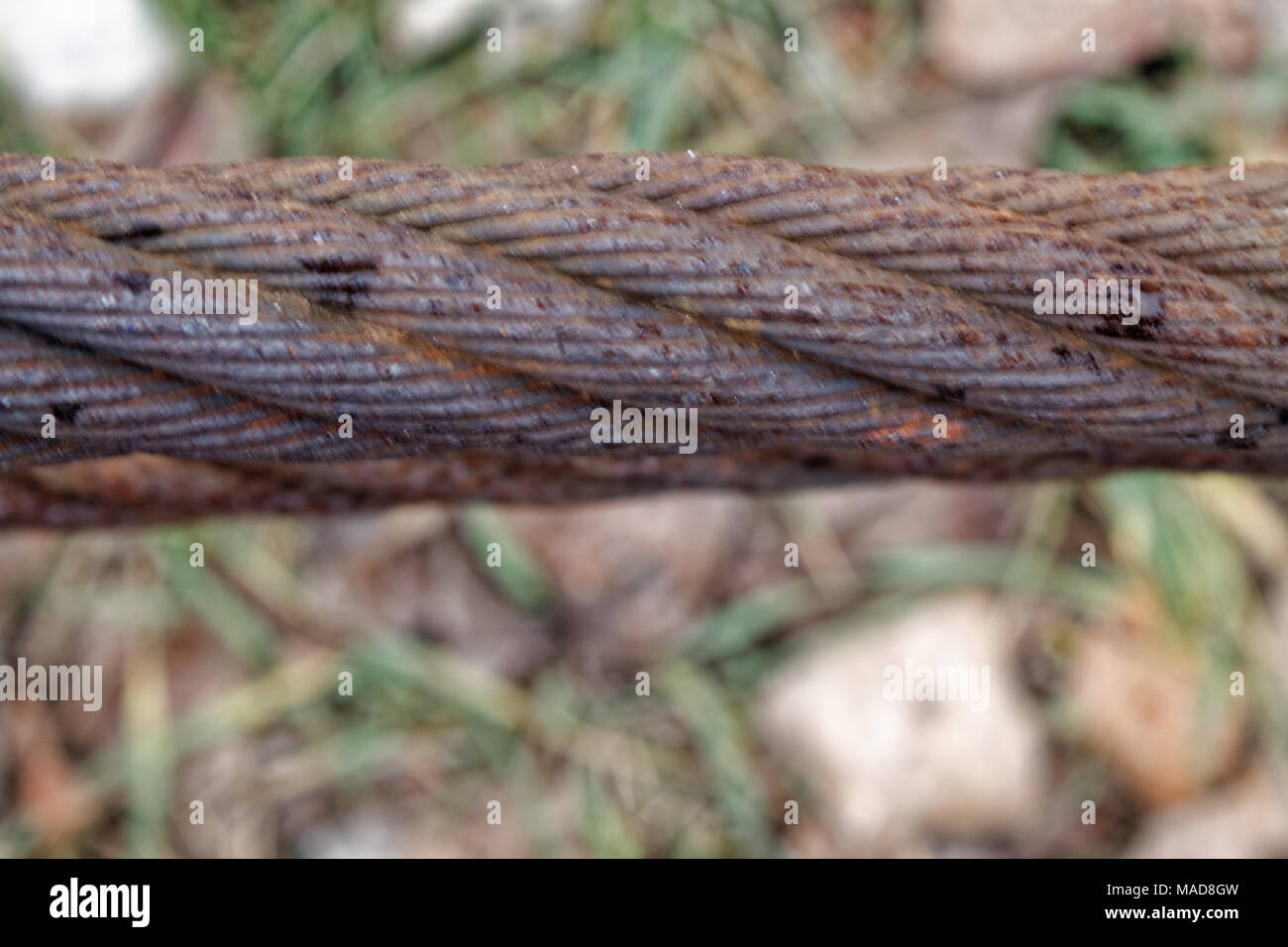 Thick steel rope close up. Bridge fence element. Detailed view. The surface of the steel cable is covered with rust and moss. Autumn day. Stock Photo