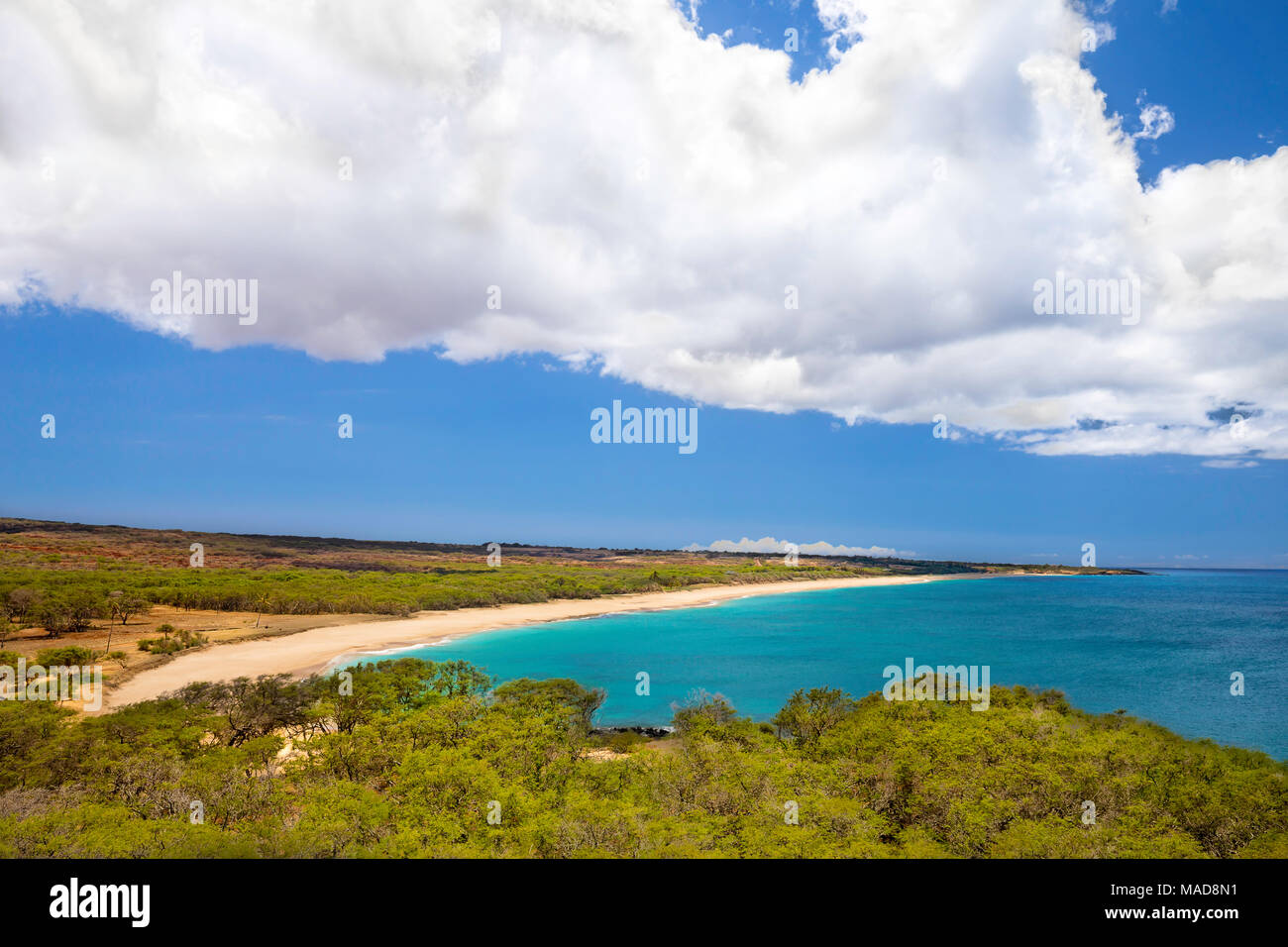 A beautiful afternoon on the two mile long, three hundred feet wide, Papohaku Beach on the west shore of Molokai. This is the longest white-sand beach Stock Photo