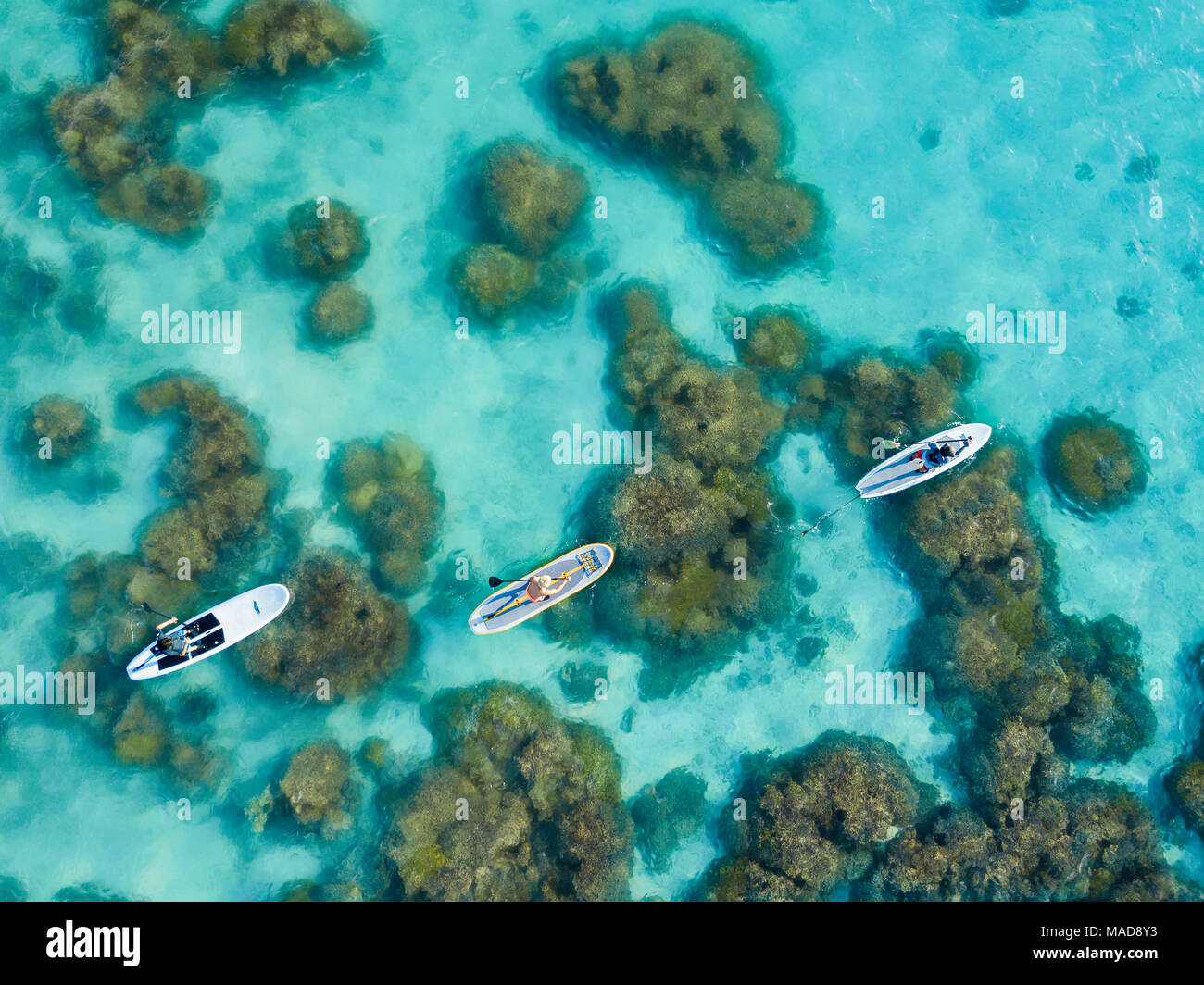 An aerial of people on stand-up paddle boards over the reef on Piti Bay, Guam, Micronesia, Mariana Islands, Pacific Ocean. Stock Photo