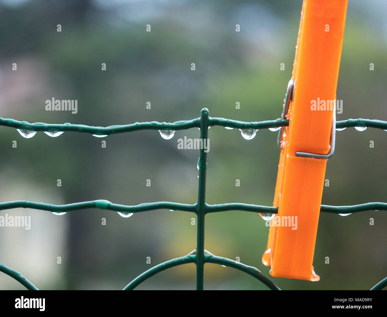 clothespin and rain drop springtime Stock Photo Alamy