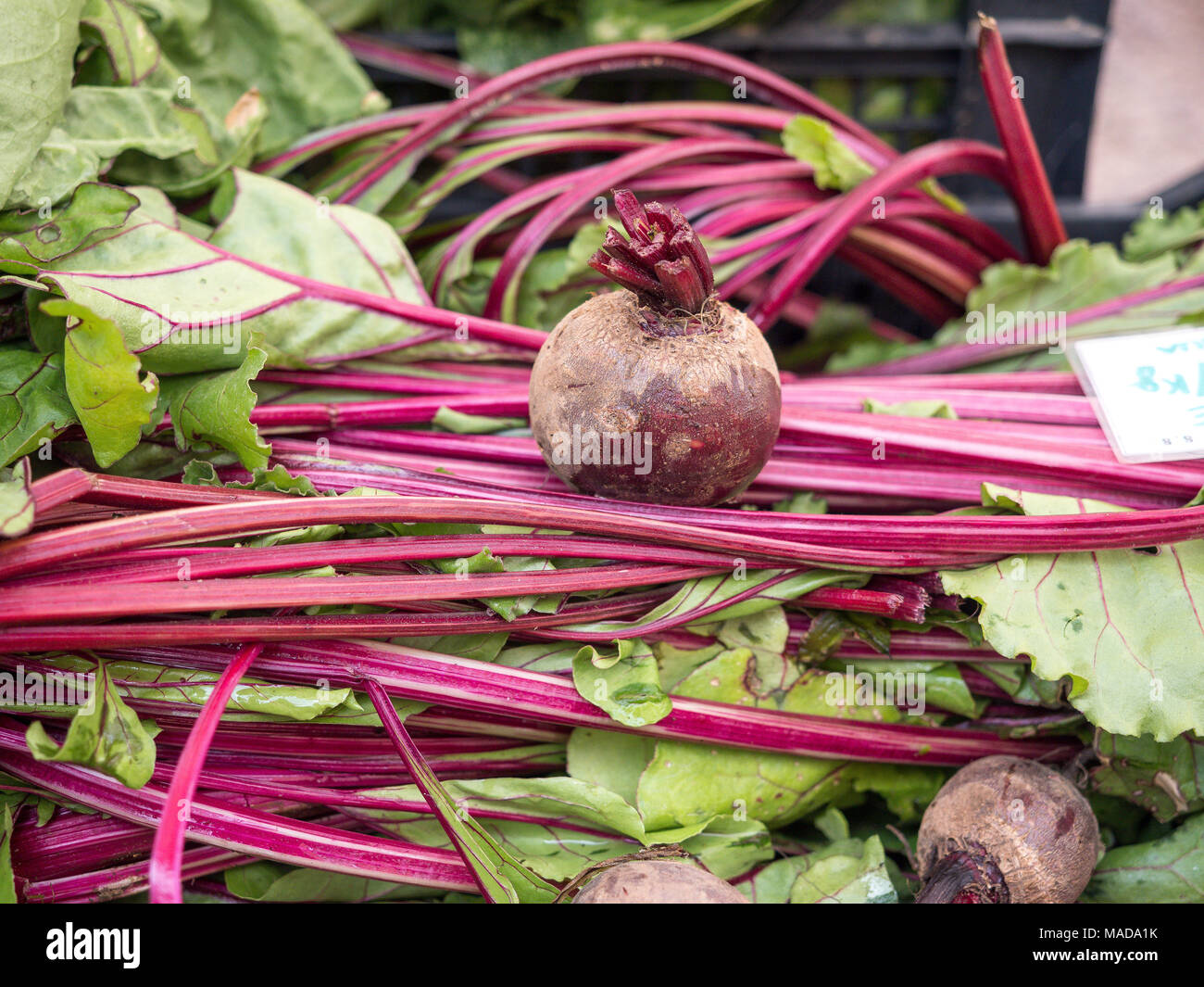 sugar beet at market Stock Photo Alamy