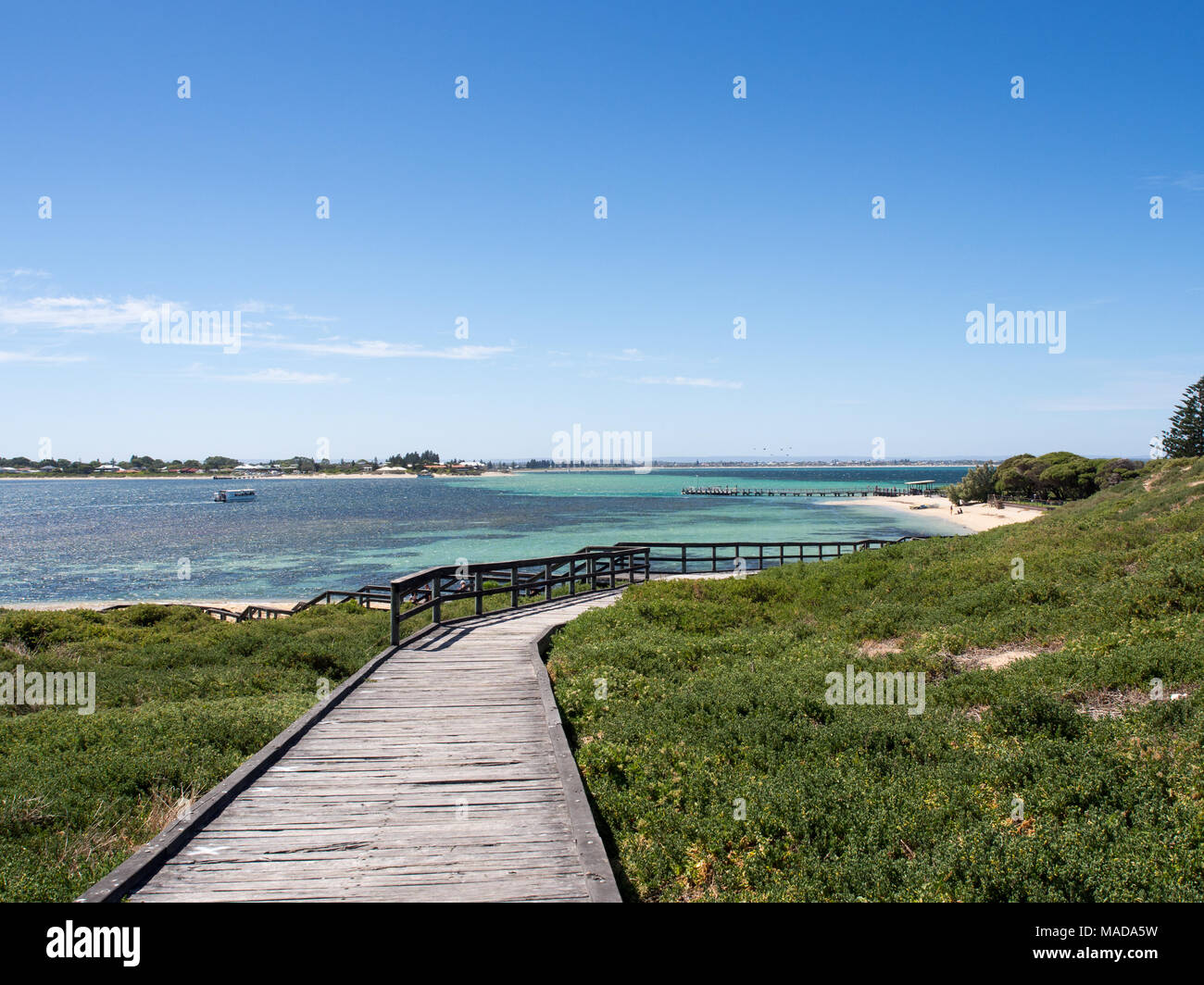 Penguin Island Conservation Park, Western Australia Stock Photo - Alamy