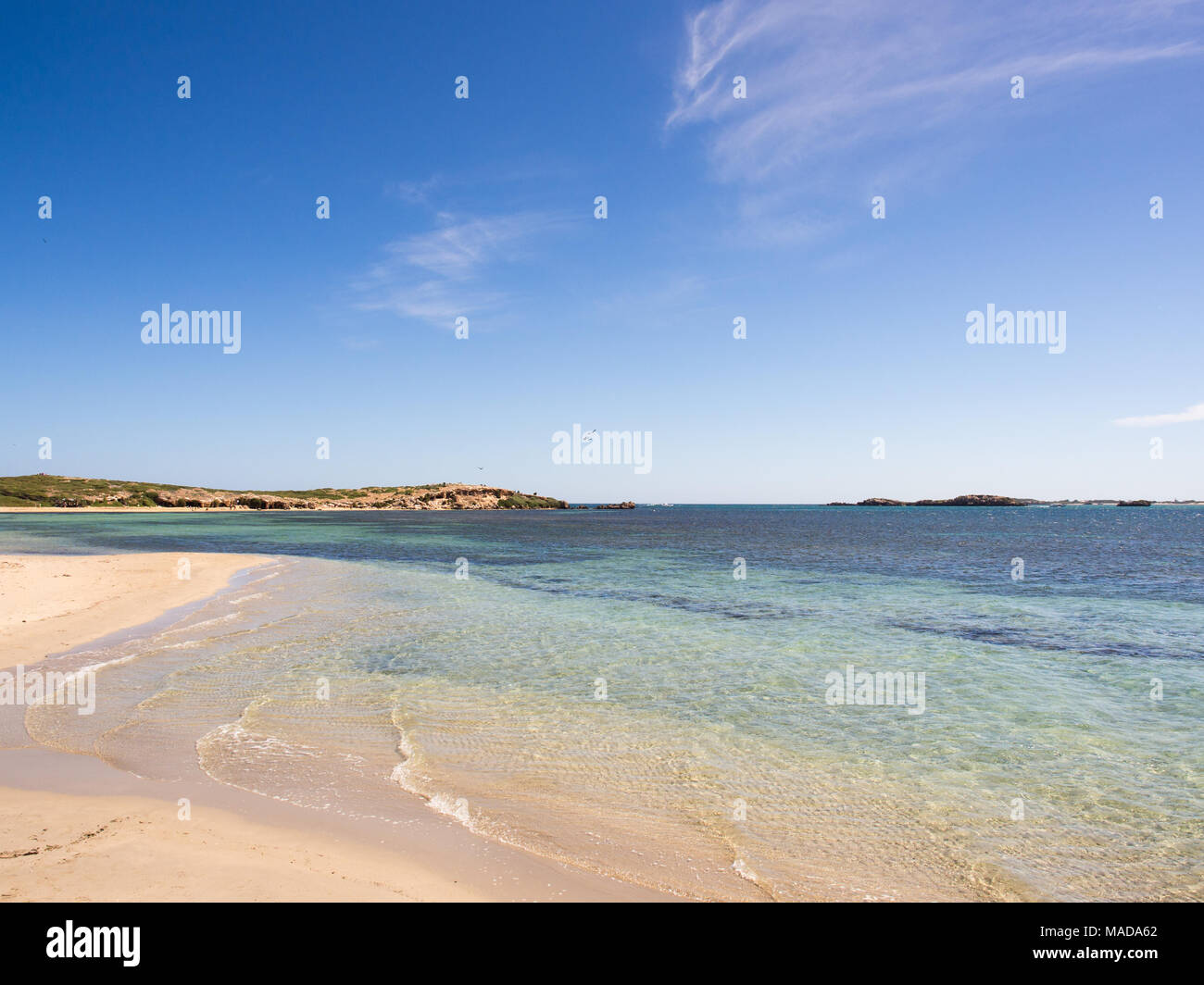 Penguin Island Conservation Park, Western Australia Stock Photo