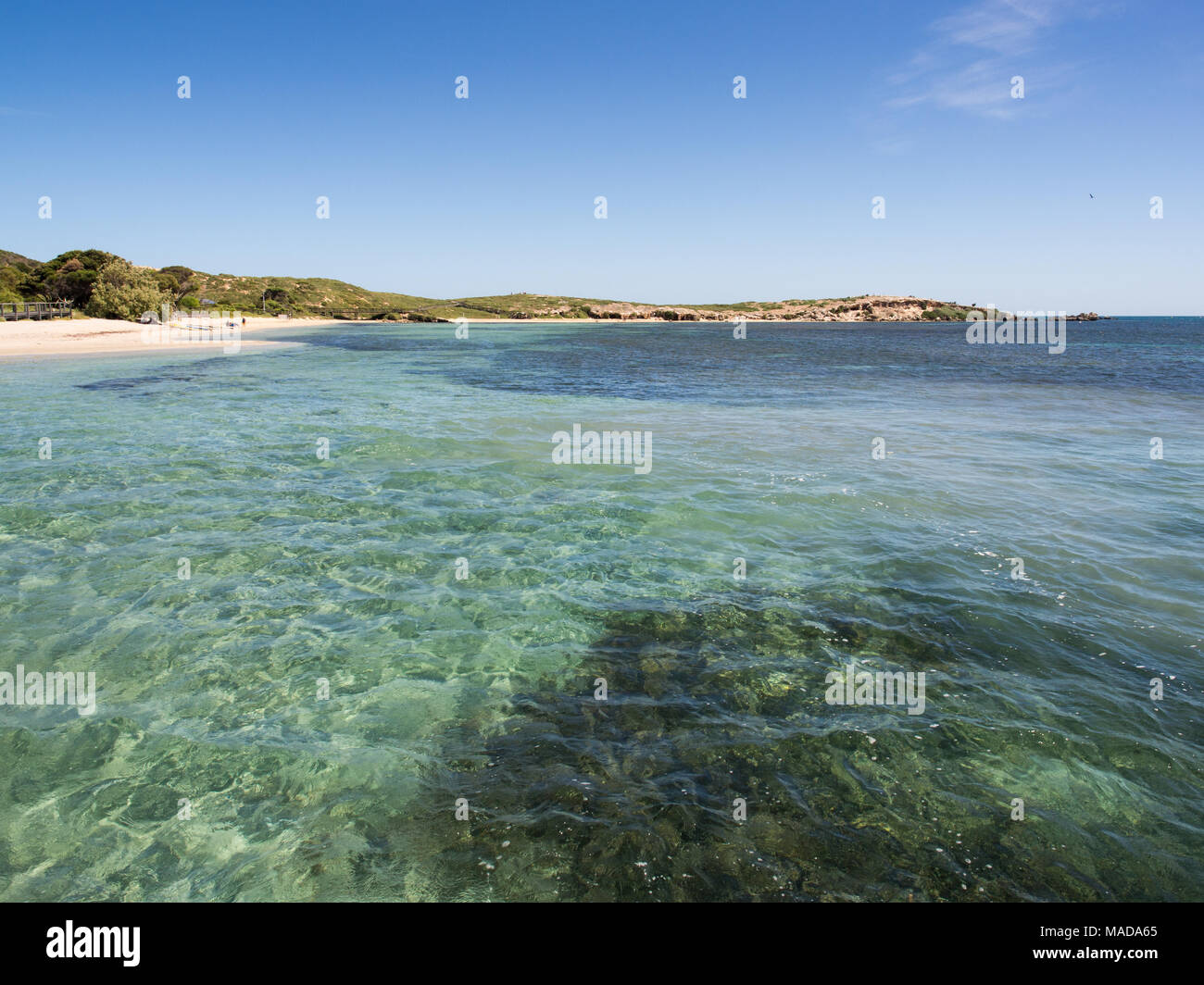 Penguin Island Conservation Park, Western Australia Stock Photo - Alamy