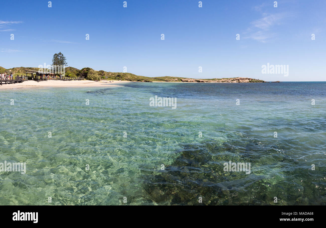 Penguin Island Conservation Park, Western Australia Stock Photo