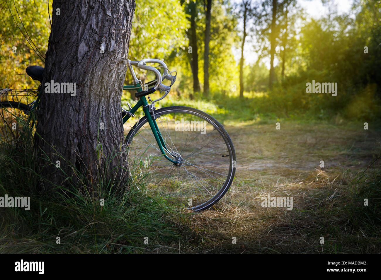 Old forgotten green sport bike in the forest Stock Photo