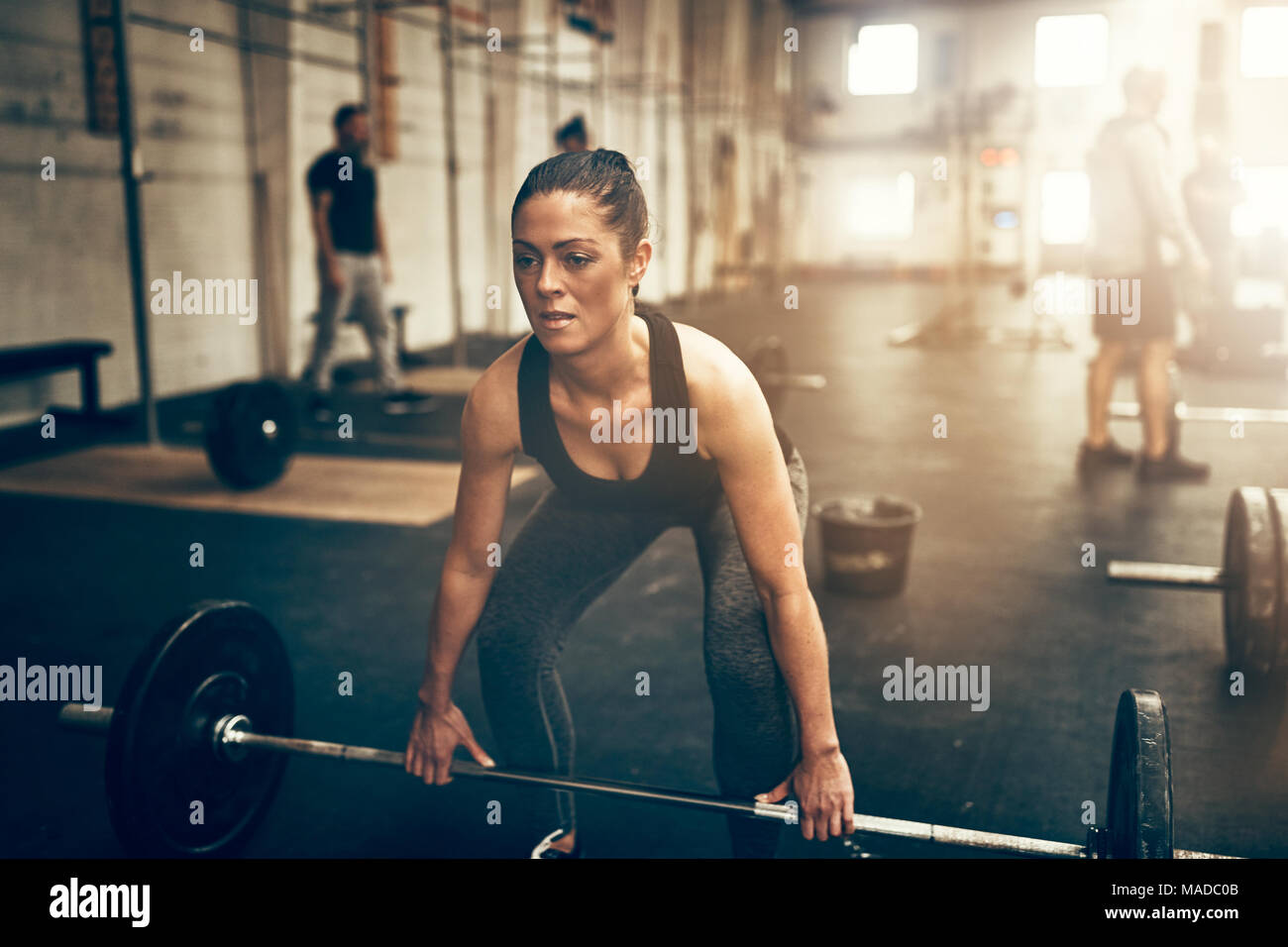 Fit young woman in sportswear straining to lift weights during a workout  session at the gym Stock Photo - Alamy