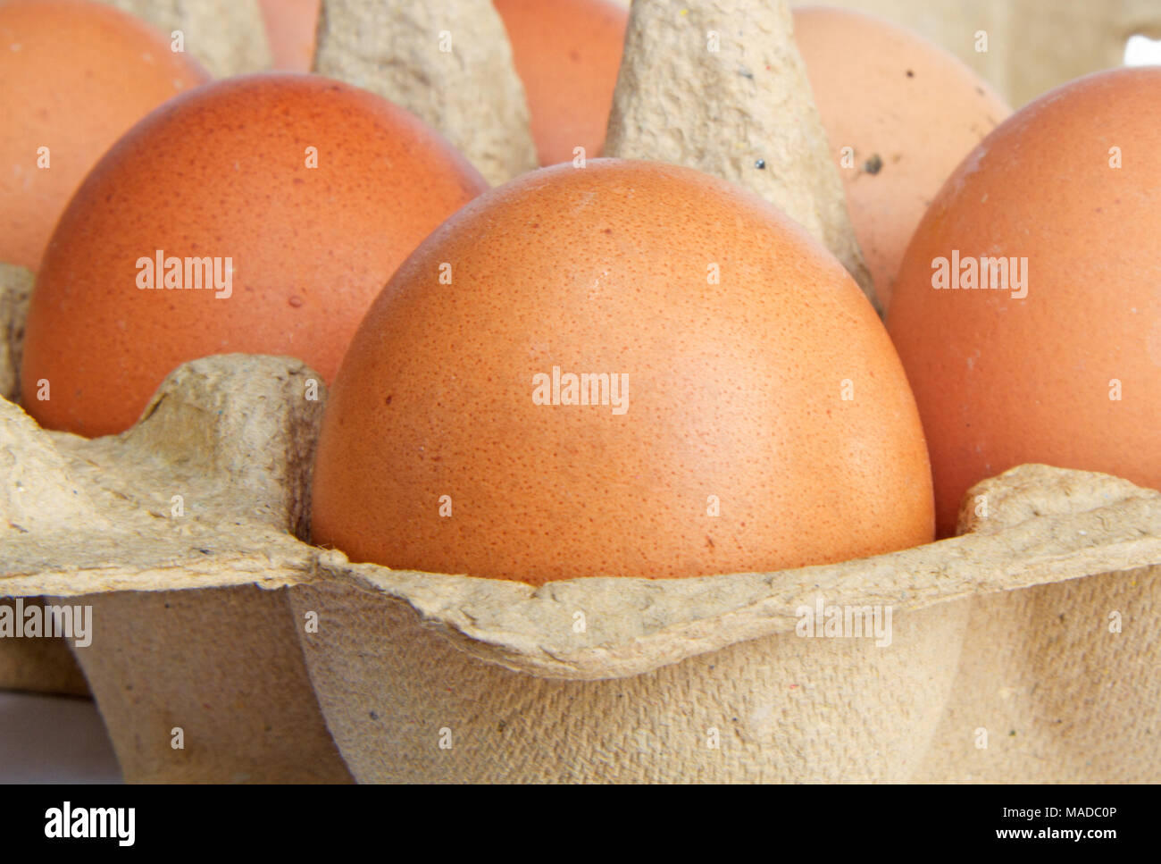 Brown chicken eggs in a carboard box Stock Photo