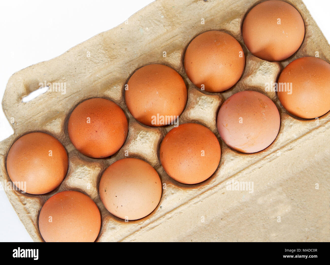 Ten brown chicken eggs in a carboard box Stock Photo
