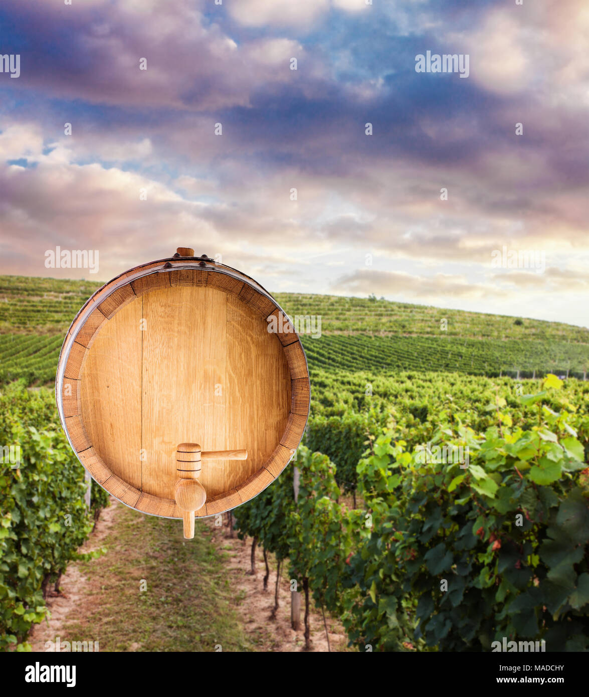 The bottom of a wine barrel Stock Photo Alamy