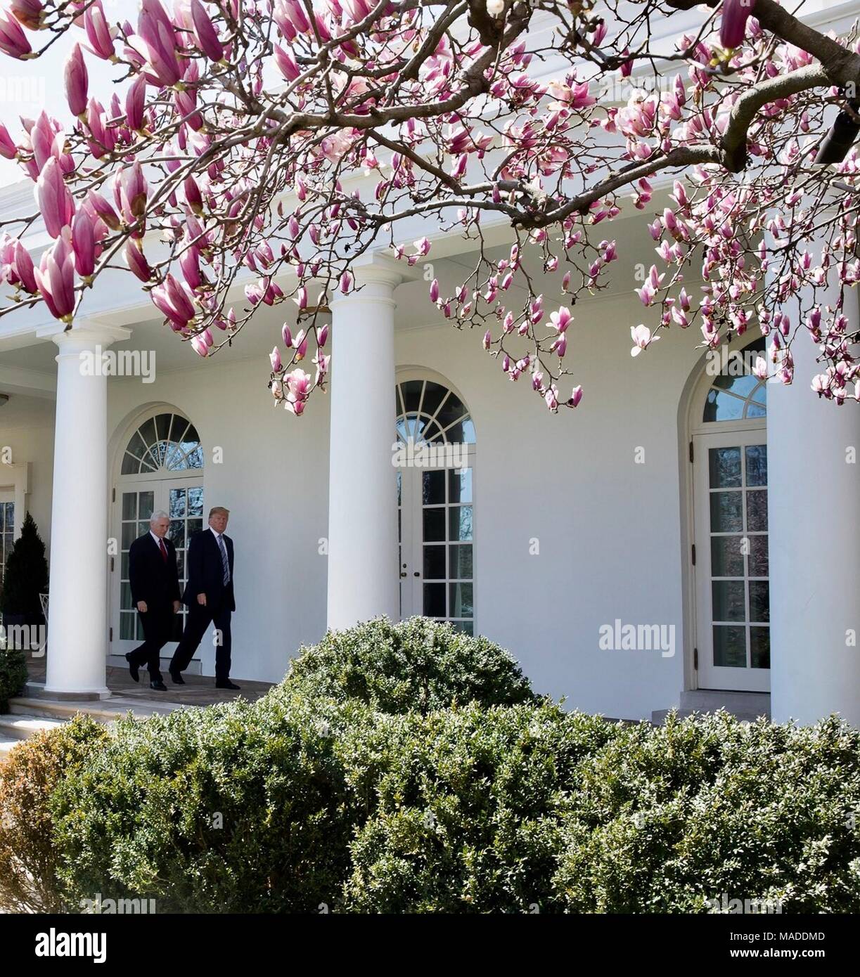U.S President Donald Trump, right, walks with Vice President Mike Pence through the Colonnade of the White House on a spring day March 23, 2018 in Washington, DC. Stock Photo