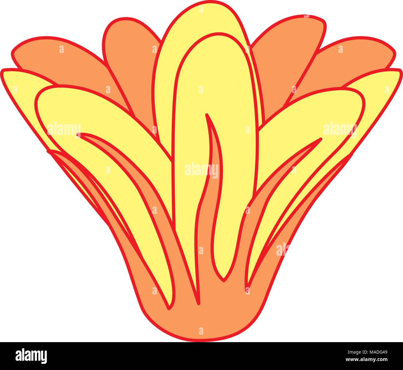 duo color cute flowers with nature petals design vector illustration ...