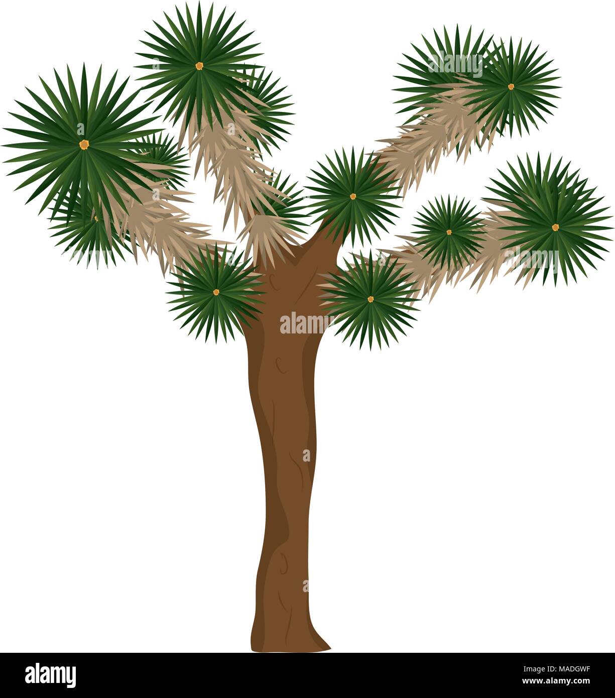 yucca brevifolia nature desert tree vector illustration Stock Vector