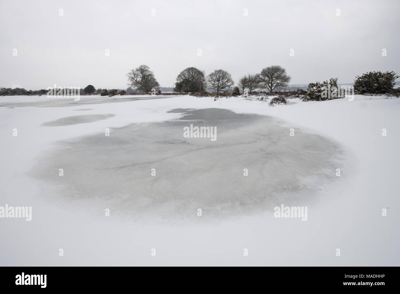 A snowy scene in the New Forest at Mogshade Hill. Stock Photo