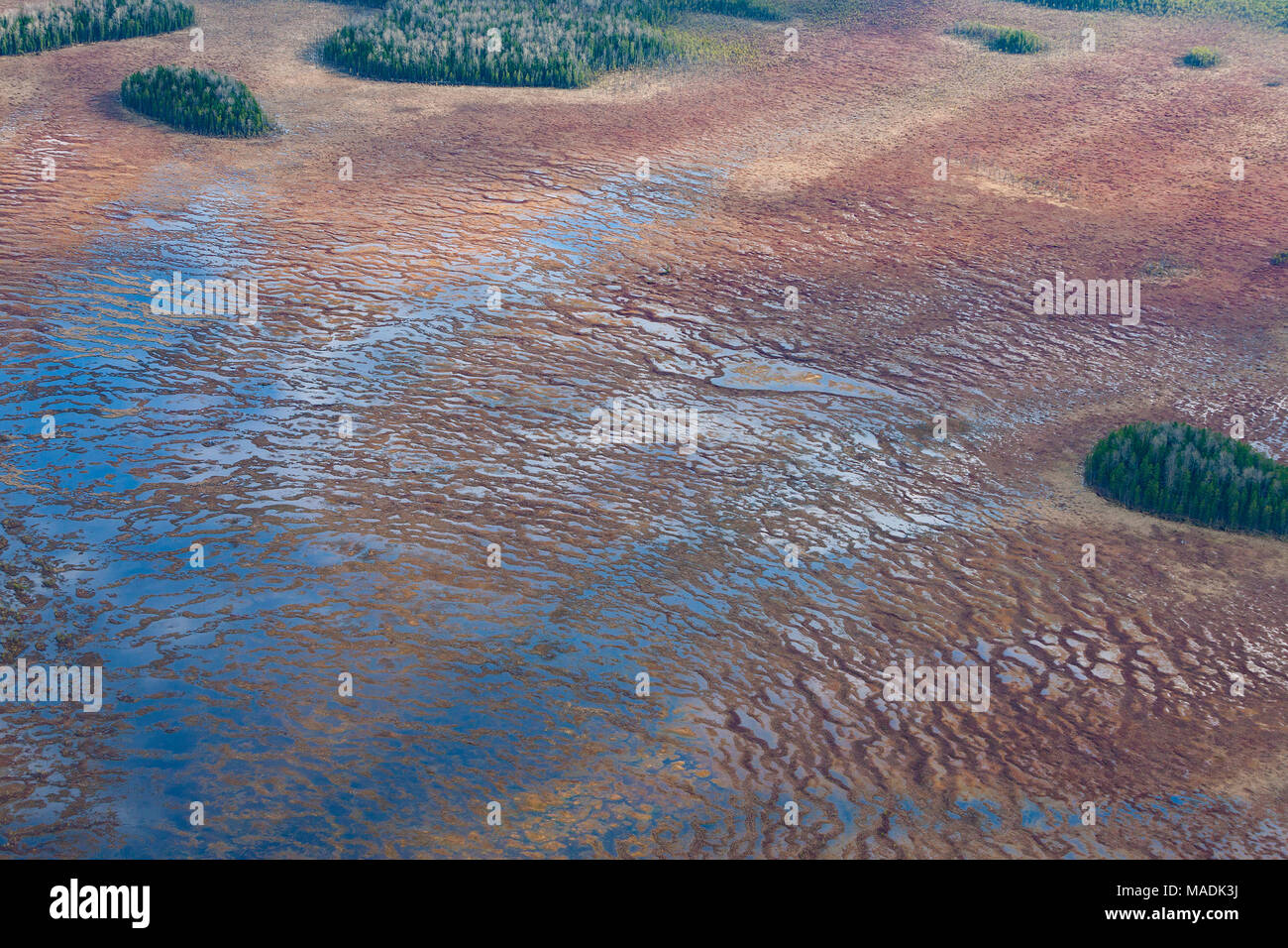 Top view of the swamp during spring Stock Photo