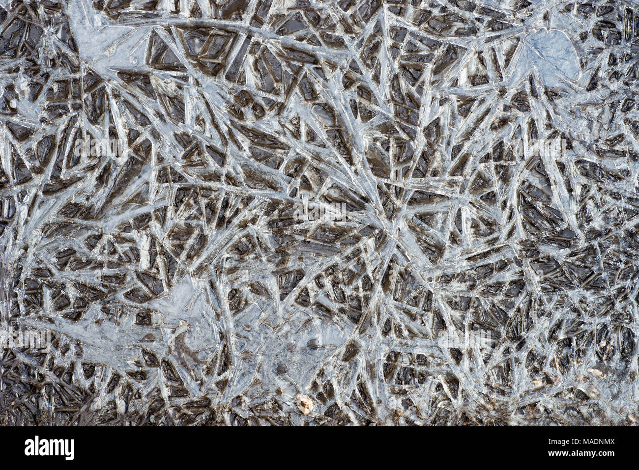Ice Puddle Texture ice pattern background texture on puddle Stock Photo - Alamy
